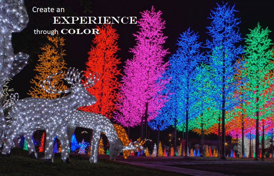 create experience with color.jpg