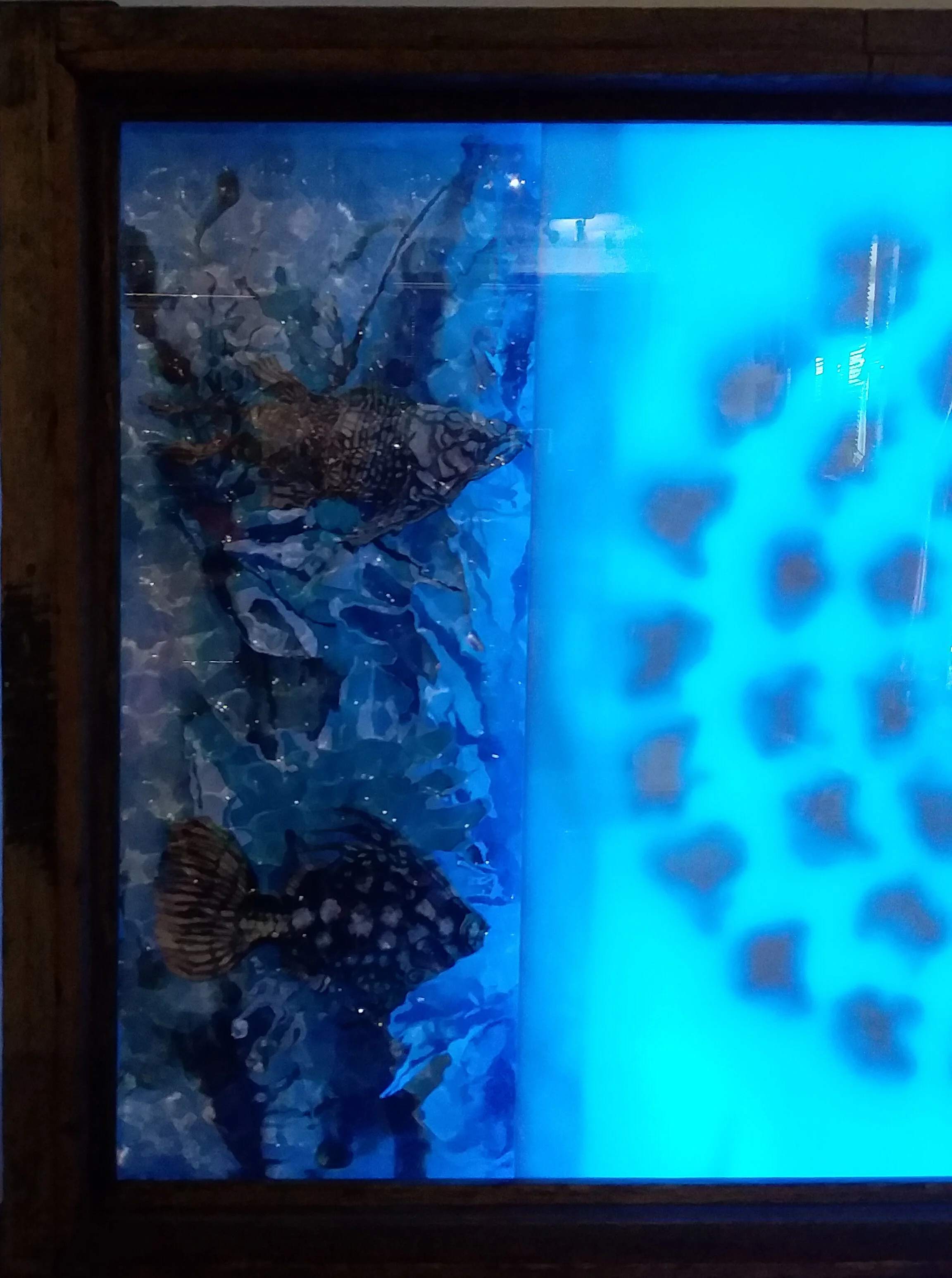 lightbox 4.jpg