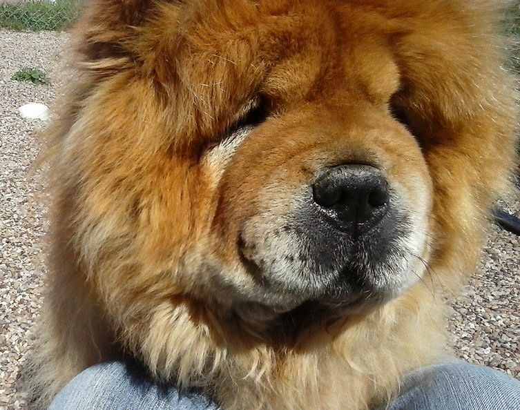Fuzz