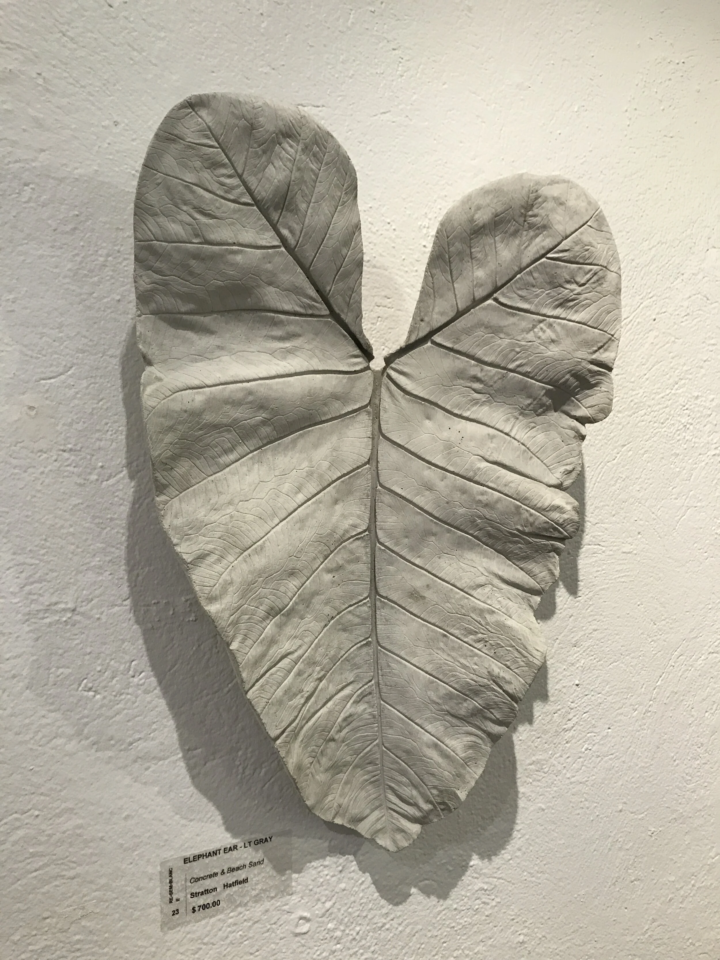 Elephant Ear - Light Gray