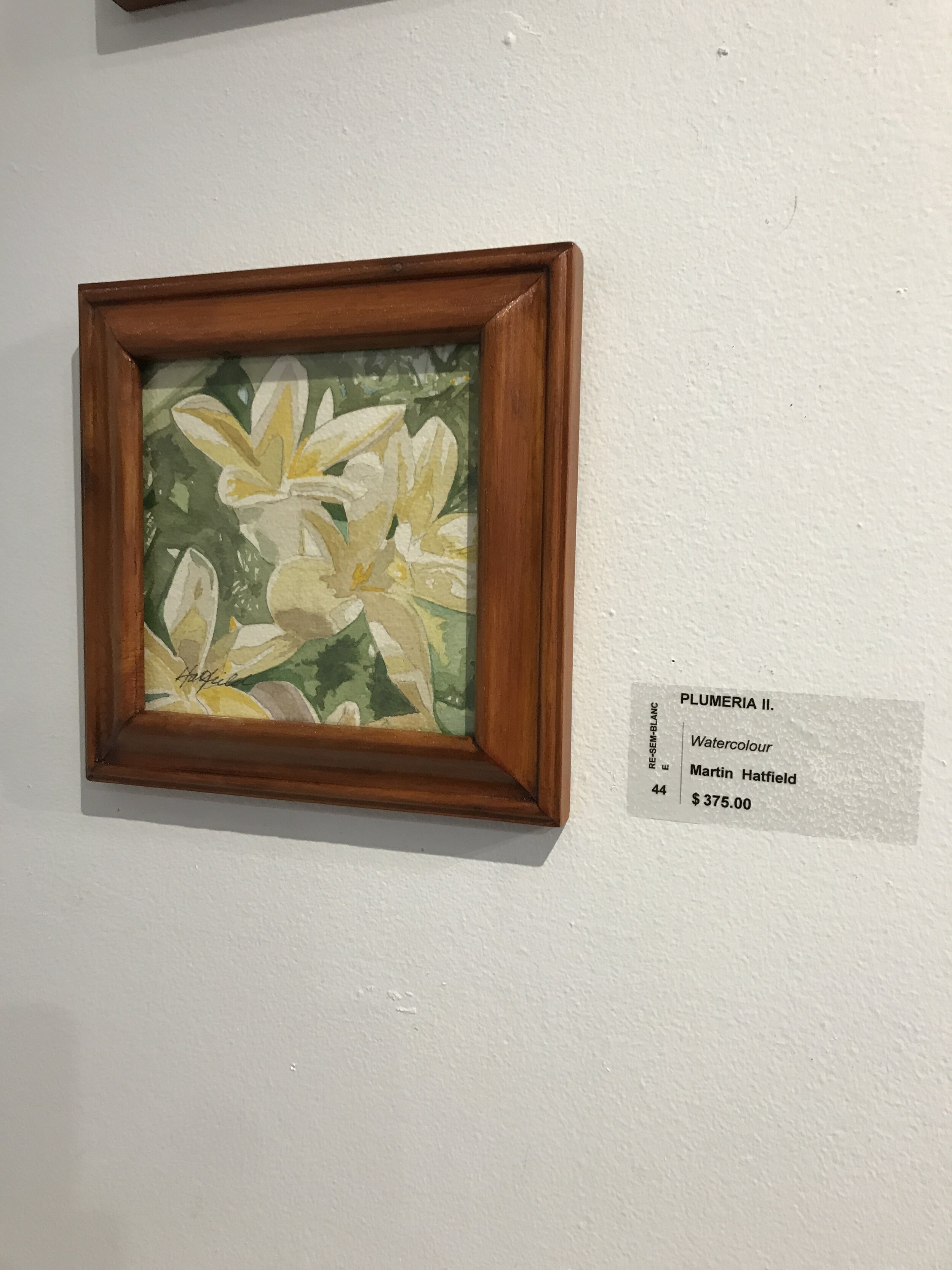 Plumeria II.      