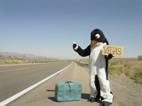 VTP 05 - Hitchhiking: a conversation from the archives