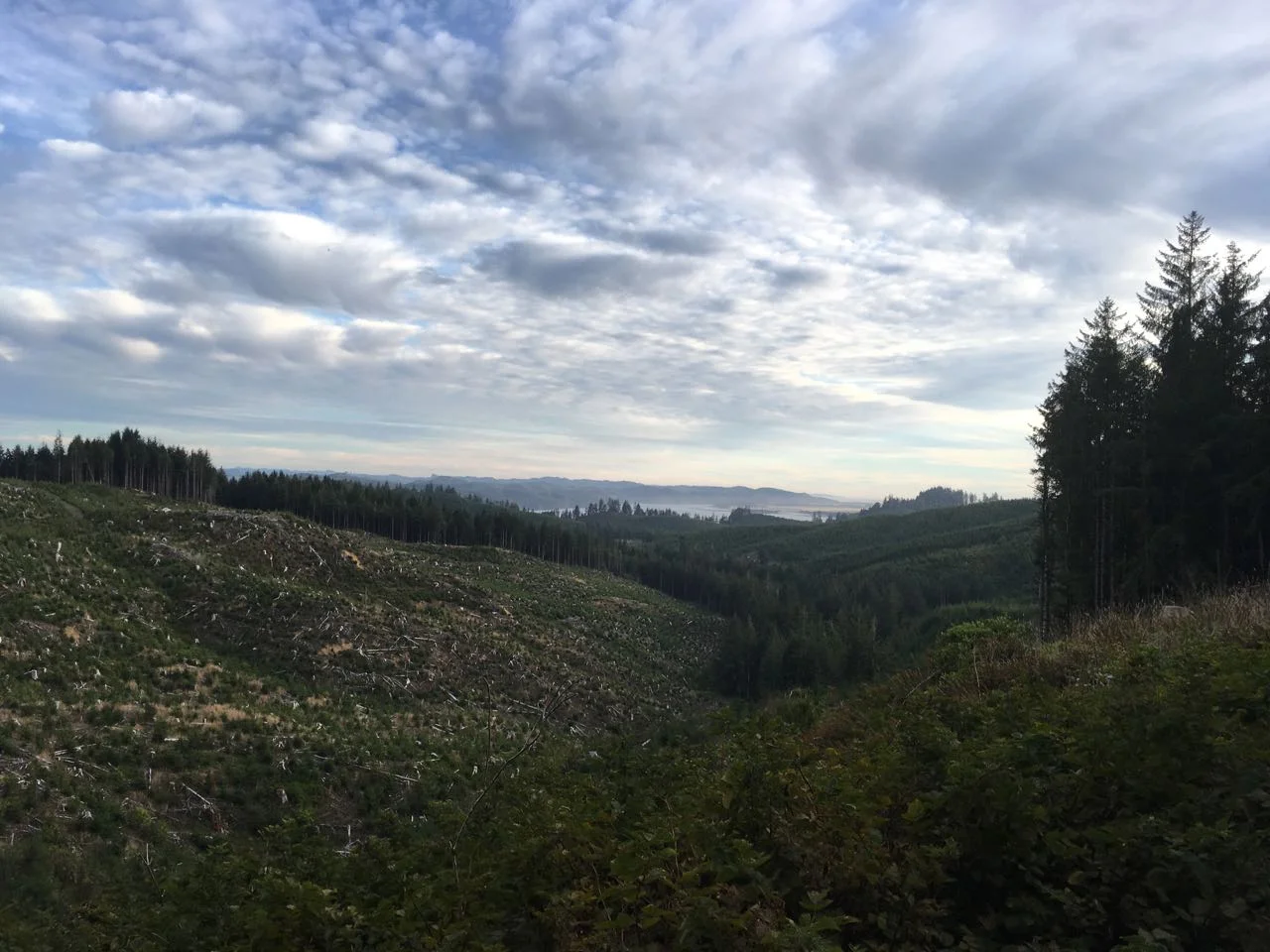 Reedsport to N Bend - 7 of 13.jpg