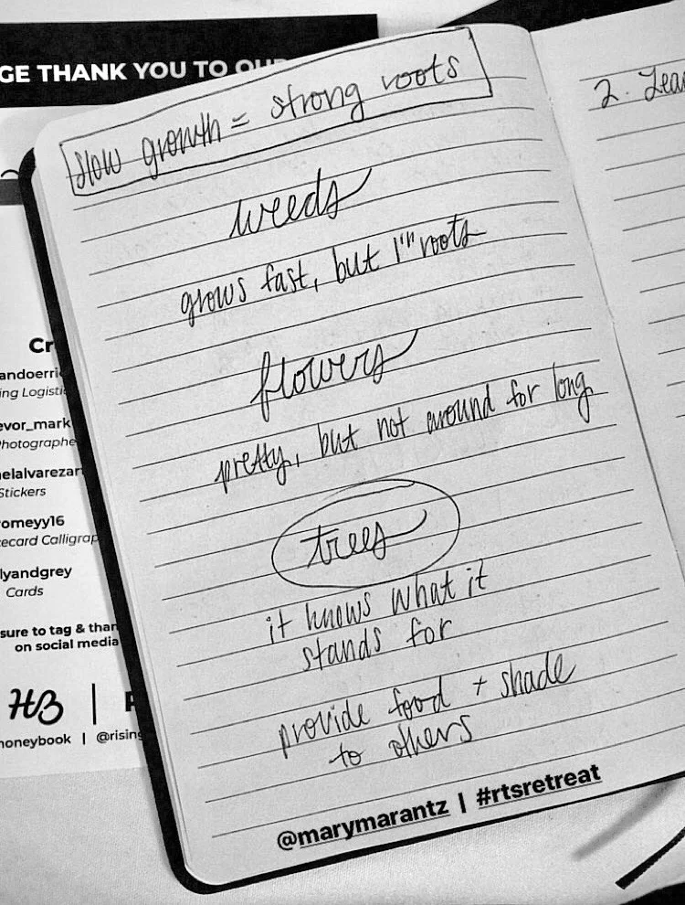 Credit goes to: Mary Marantz. All I did was take the notes and get my mind blown. ;)