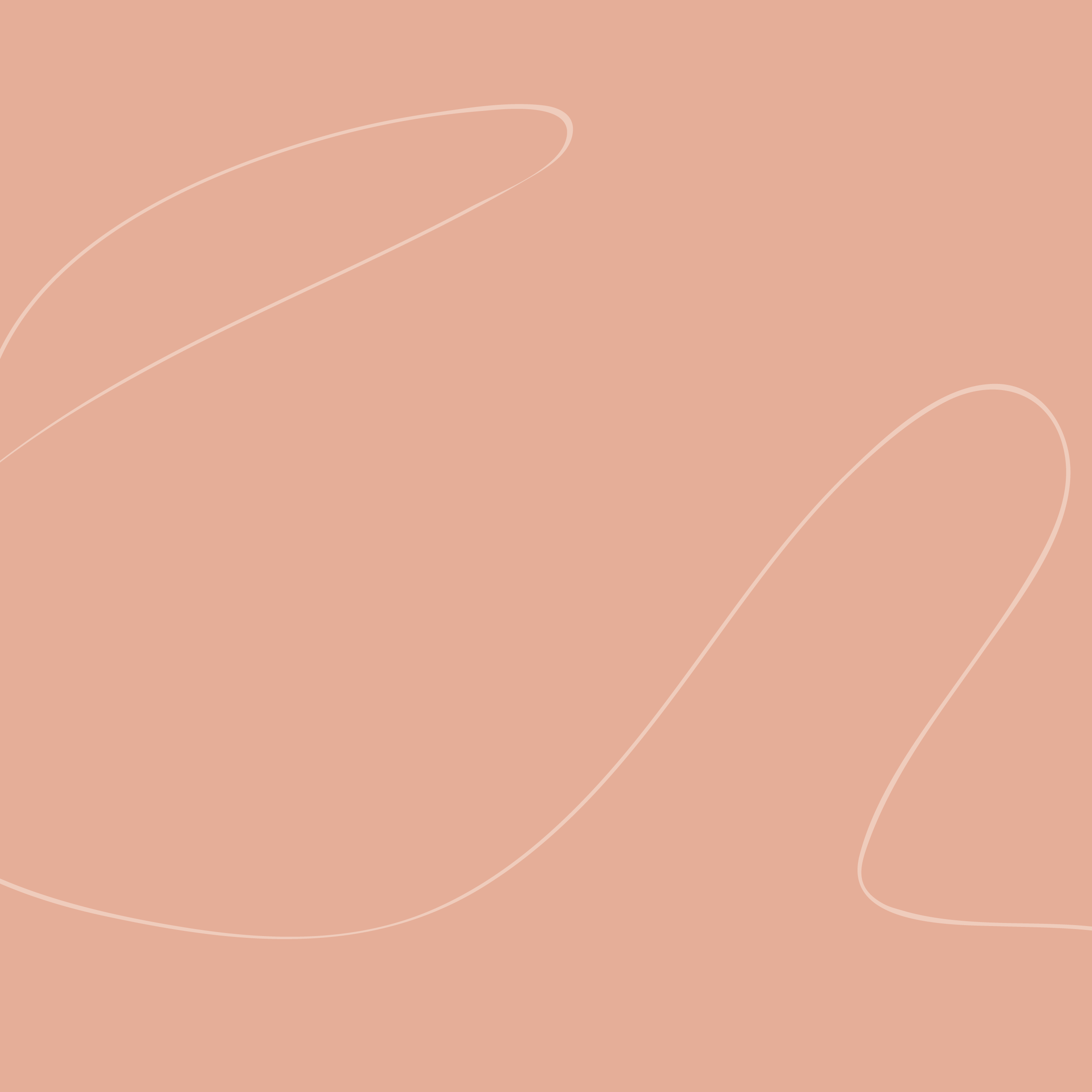 Create Your Wild Dream