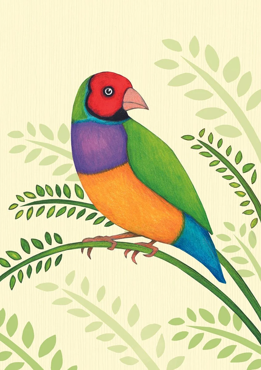Gouldian Finch