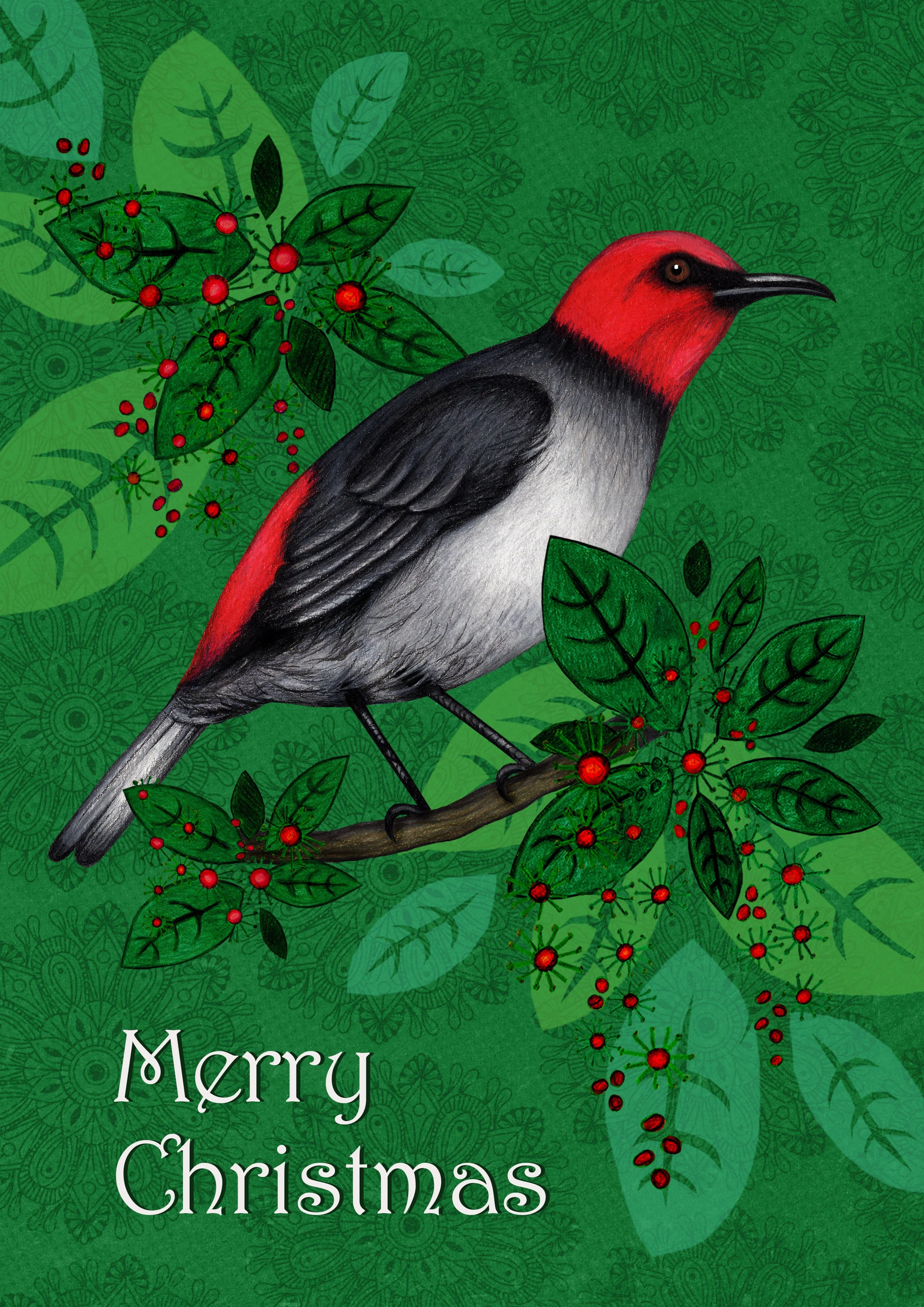 Red-headed Honeyeater