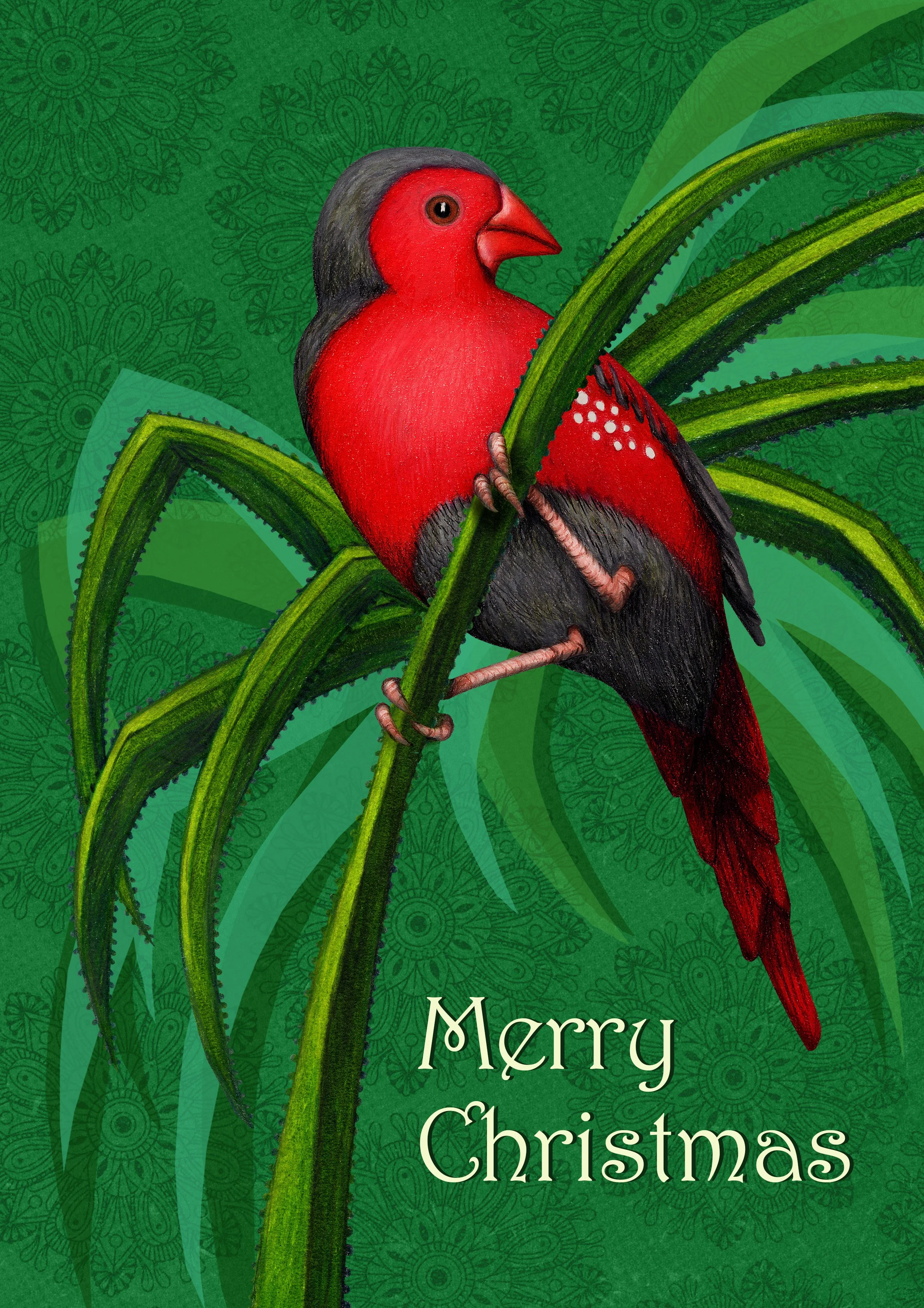 CB_CrimsonFinch copy.jpg