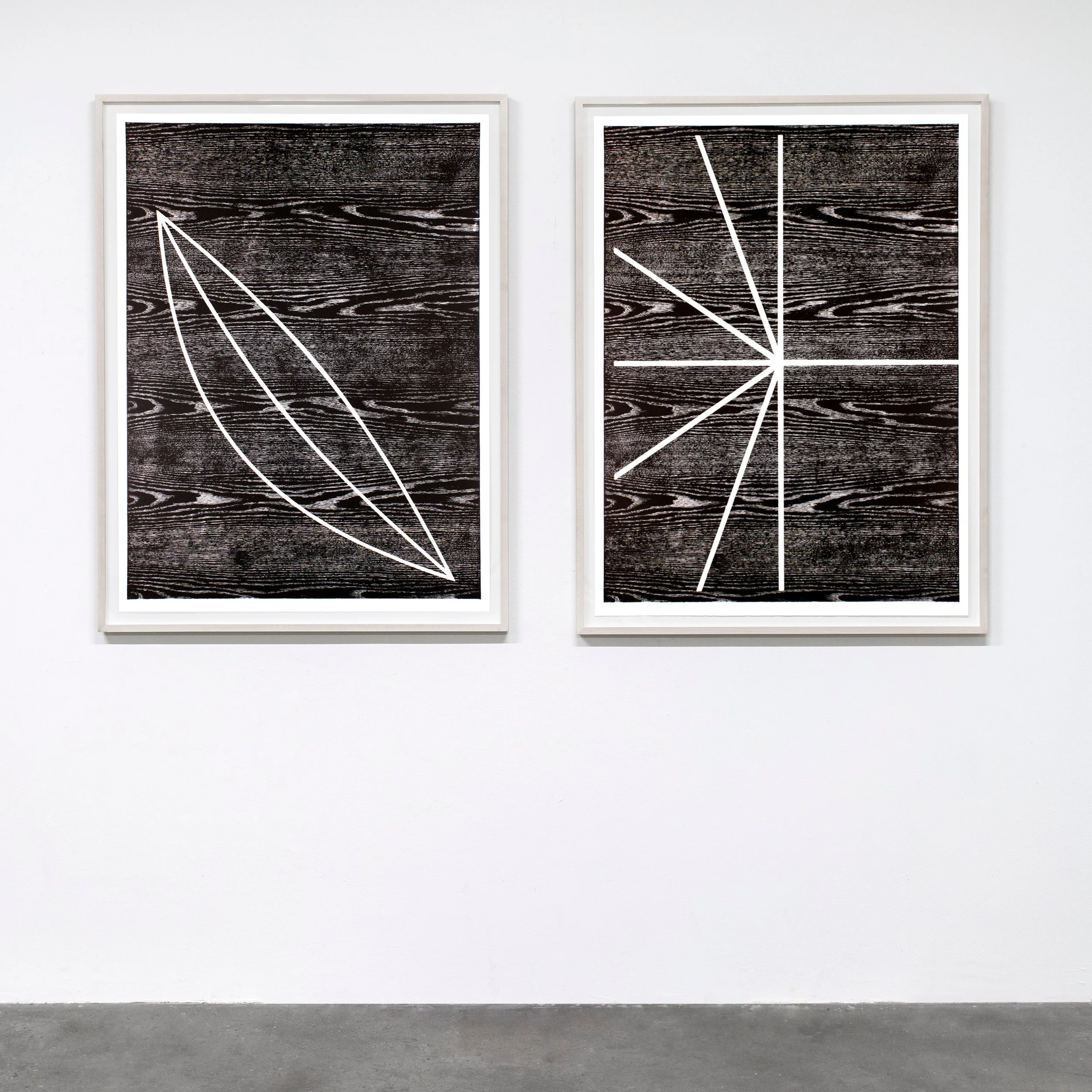 optic diptych, 2016