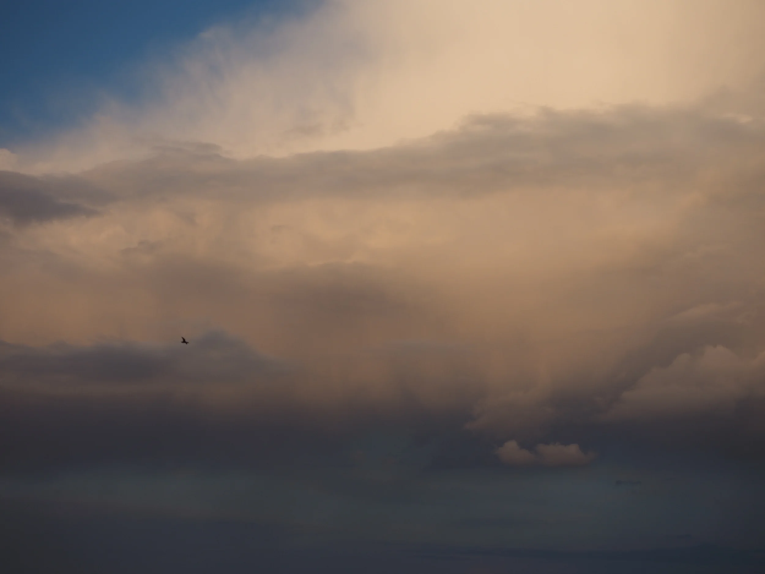 P4110334.JPG