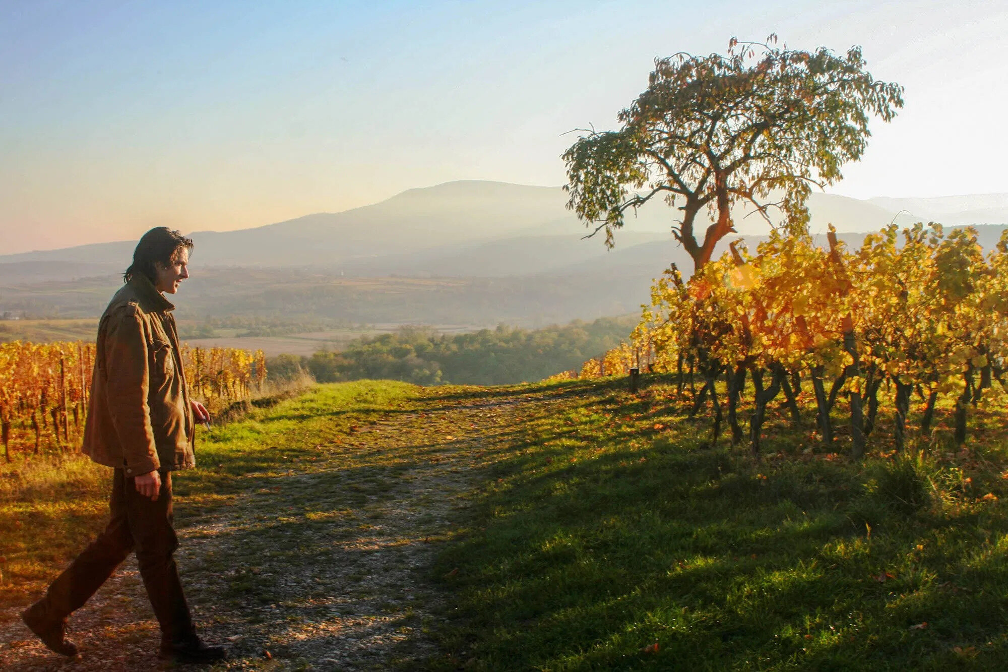 Domaine Bohn