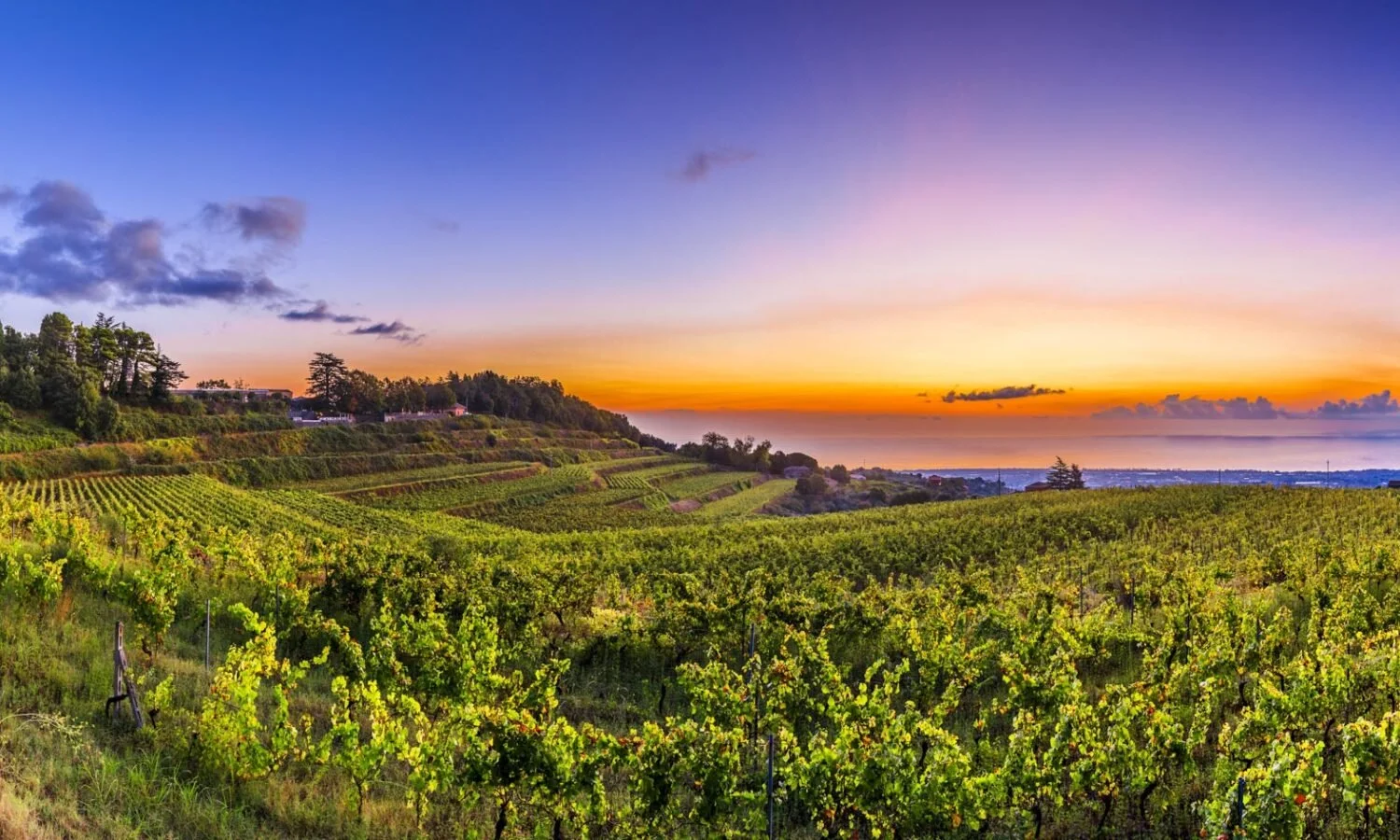 Barone di Villagrande