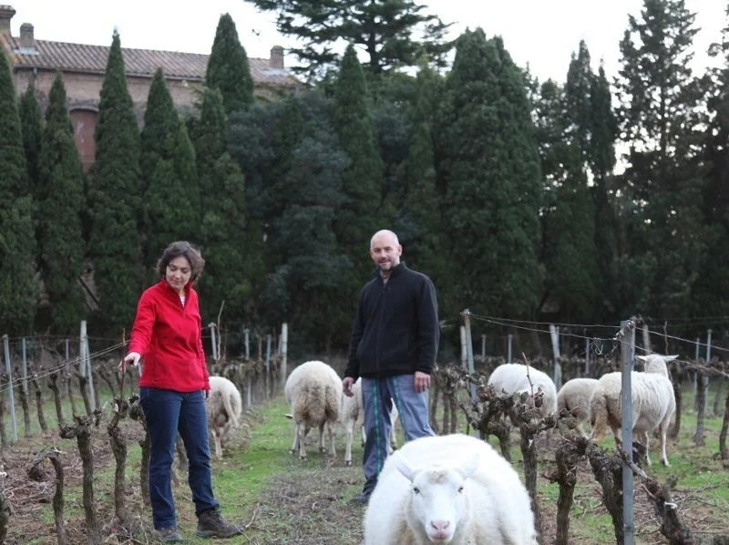 beauregard mirouze.jpg