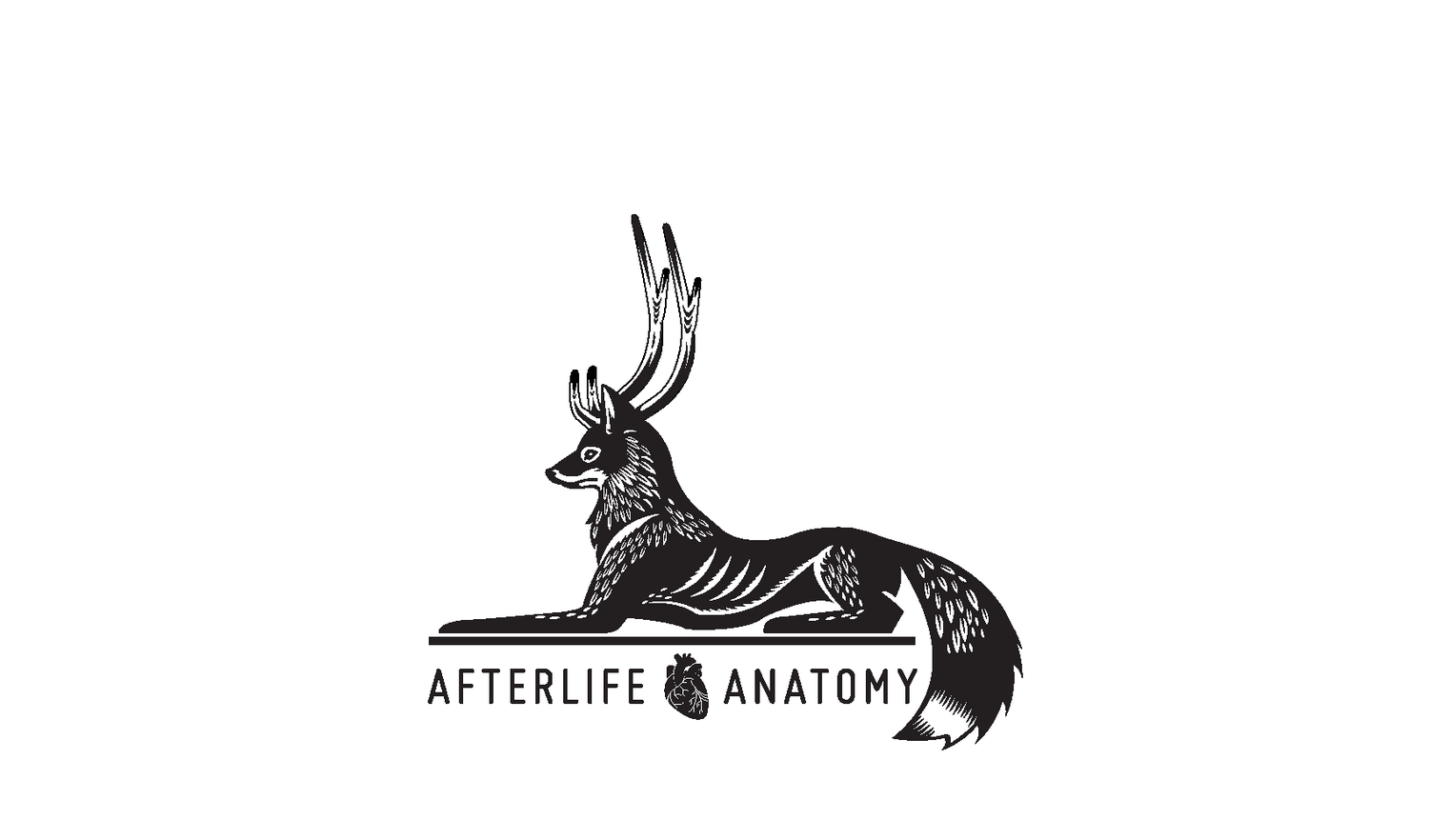 afterlife anatomy