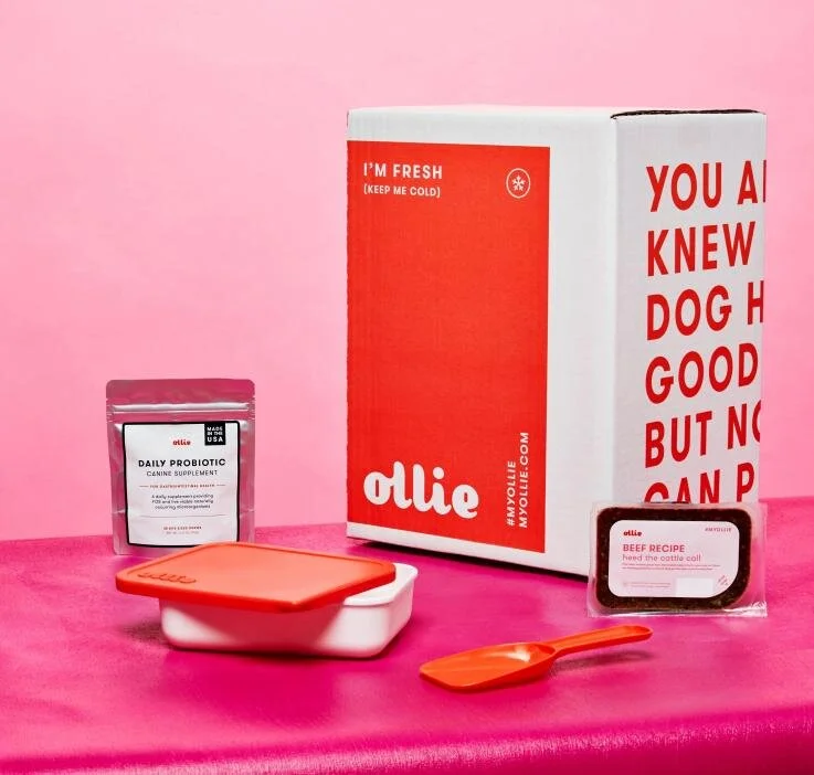 ollie-beef-pink-background.jpg
