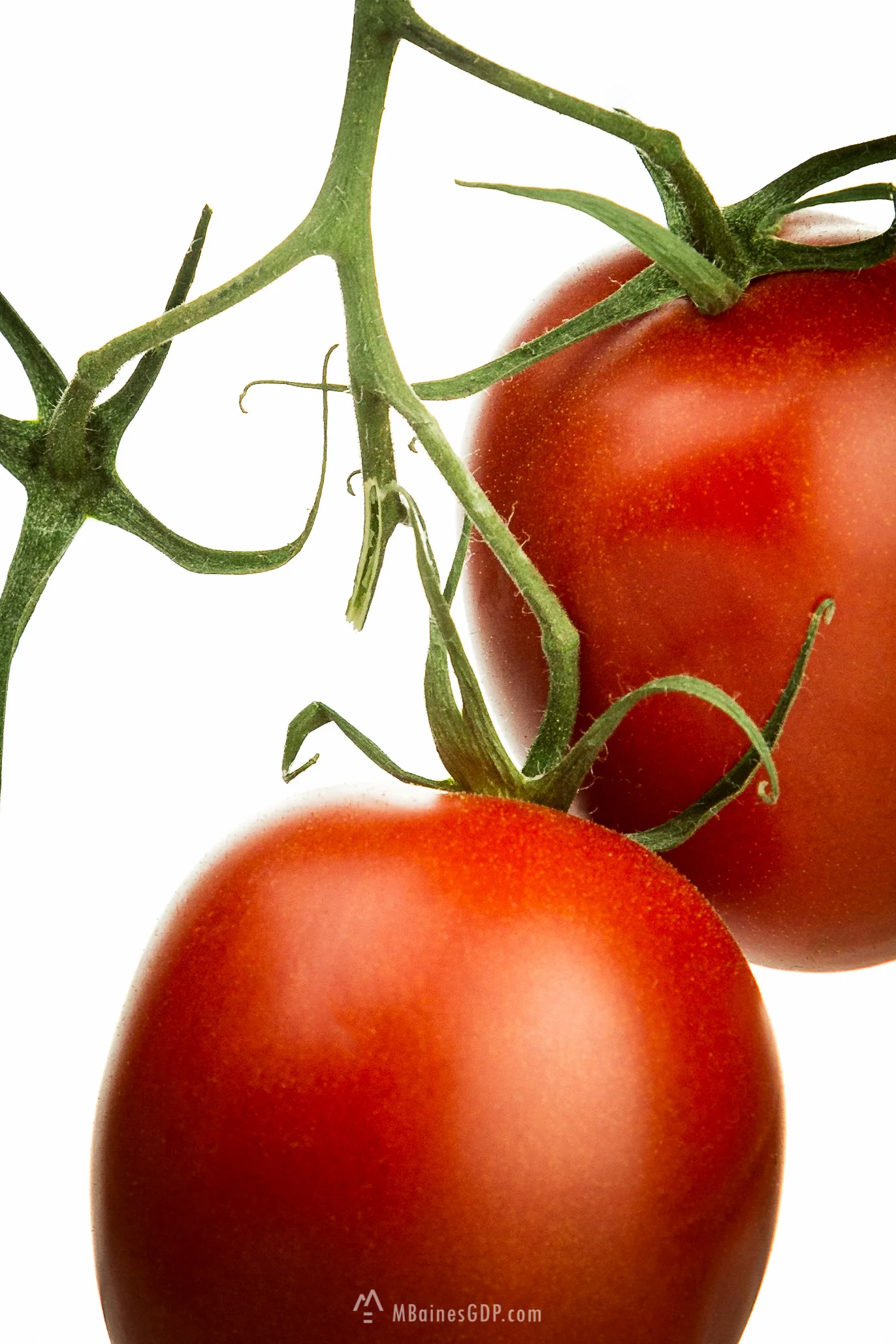 Super Food!!!!