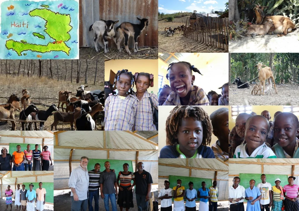 Haiti Goats & Cattle Co-op program launches