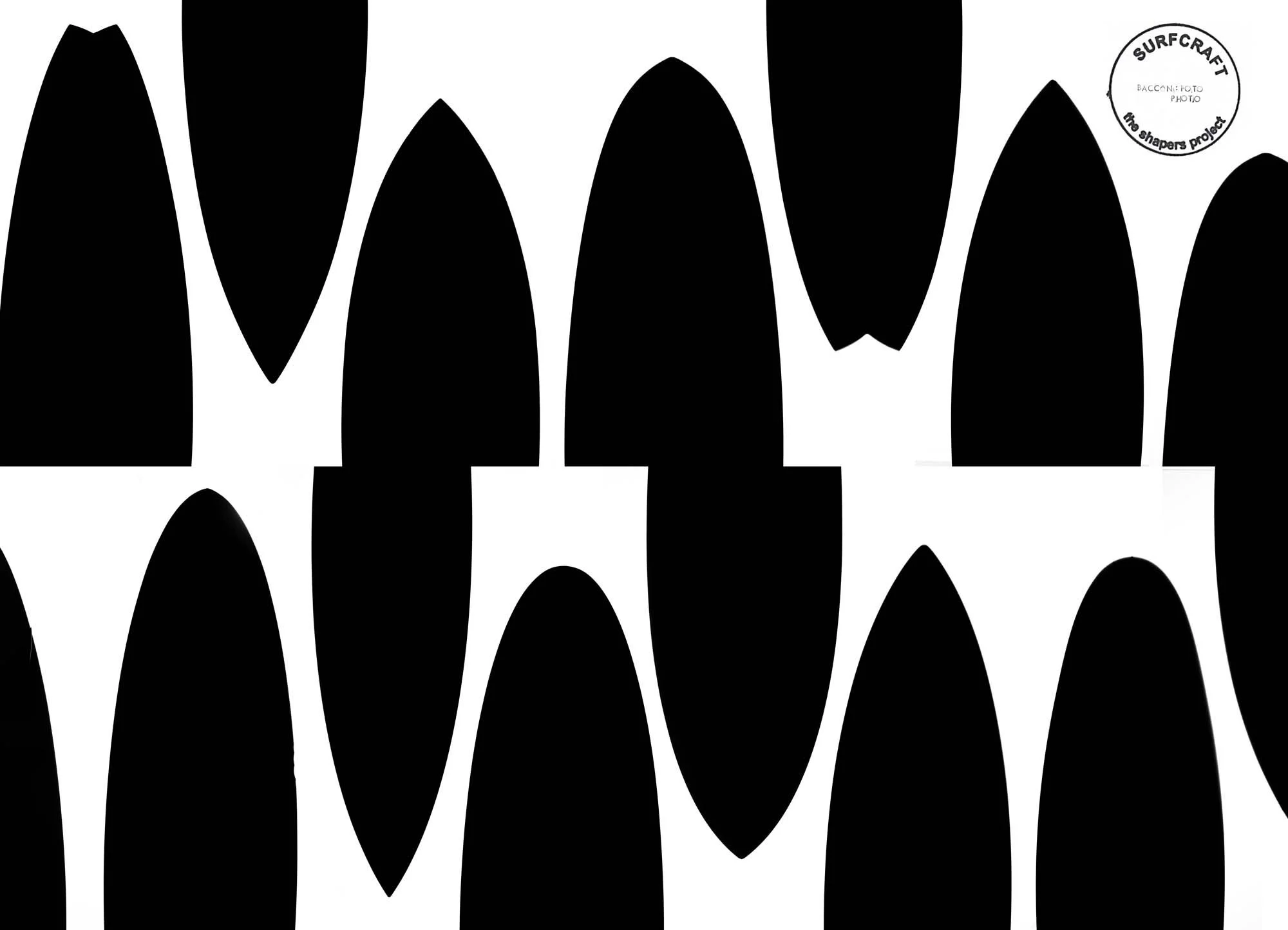 2025-TSP-BACCON-00000.jpg