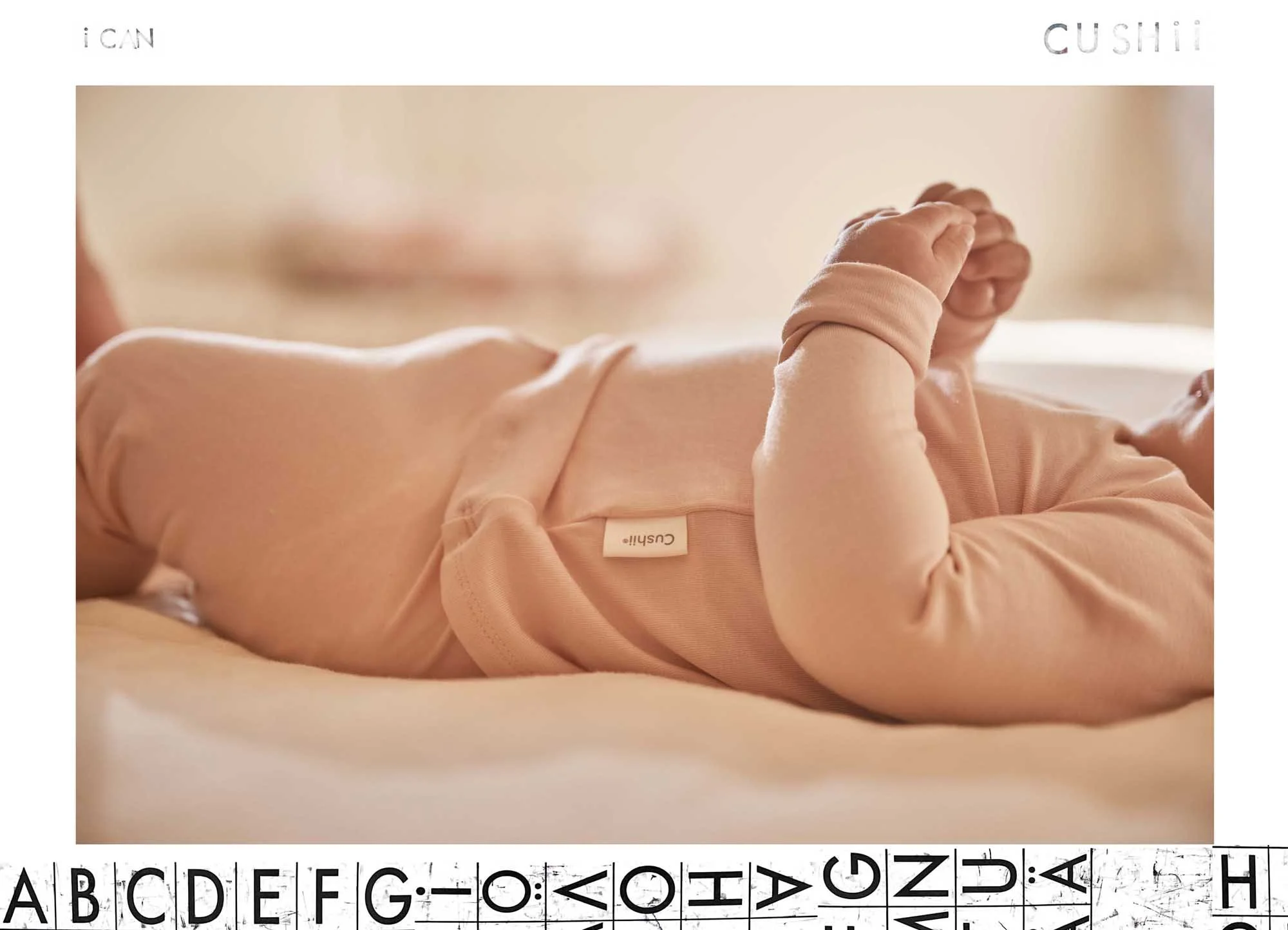 BAC-CUSHII-2025-0016.jpg