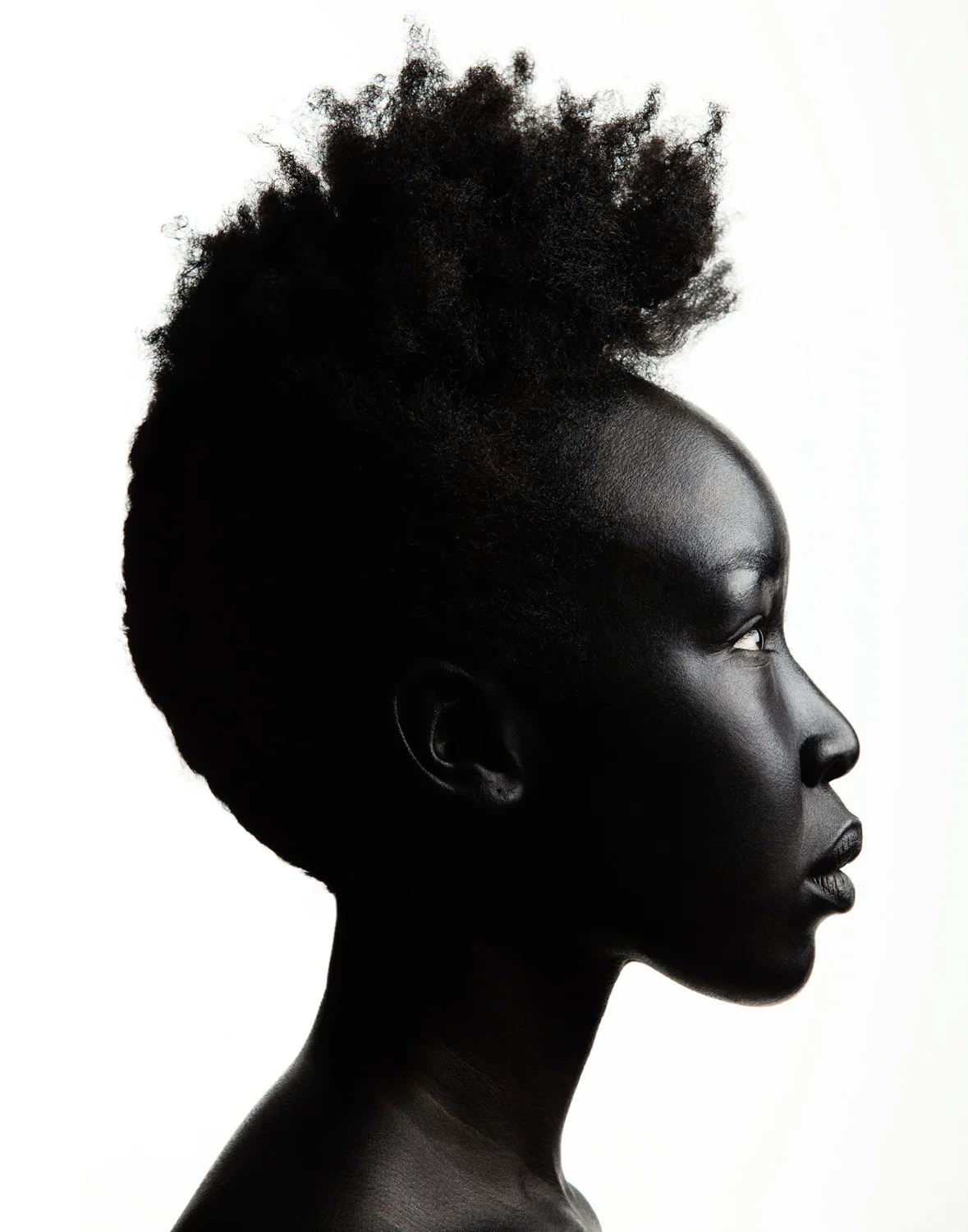 Celebrity Photographer - Model