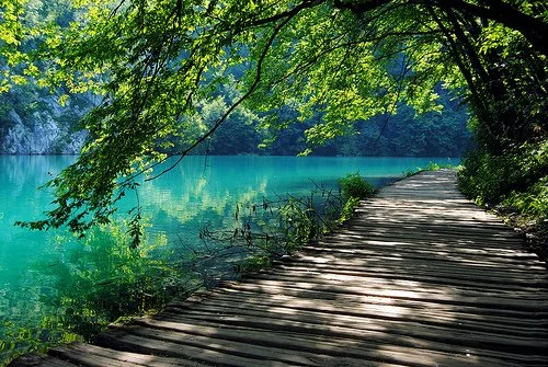 lake-landscape-nature-path-photography-Favim.com-358881.jpg