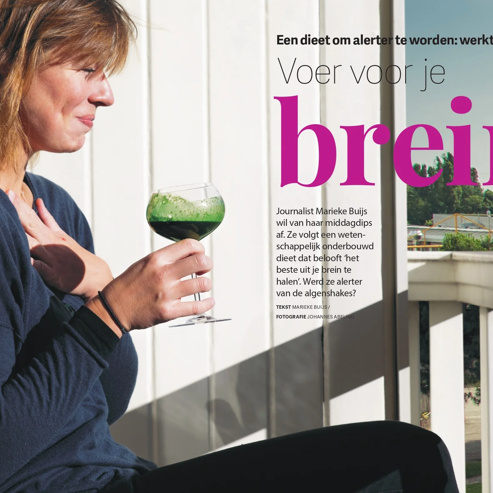 Quest+Psychologie+-+Hersendieet_page-0001.jpg