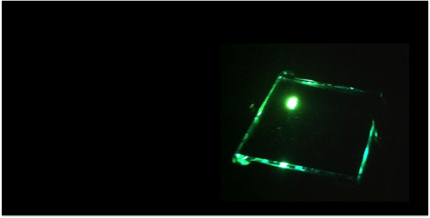 Green polymer based organic light emitting diode (OLED)