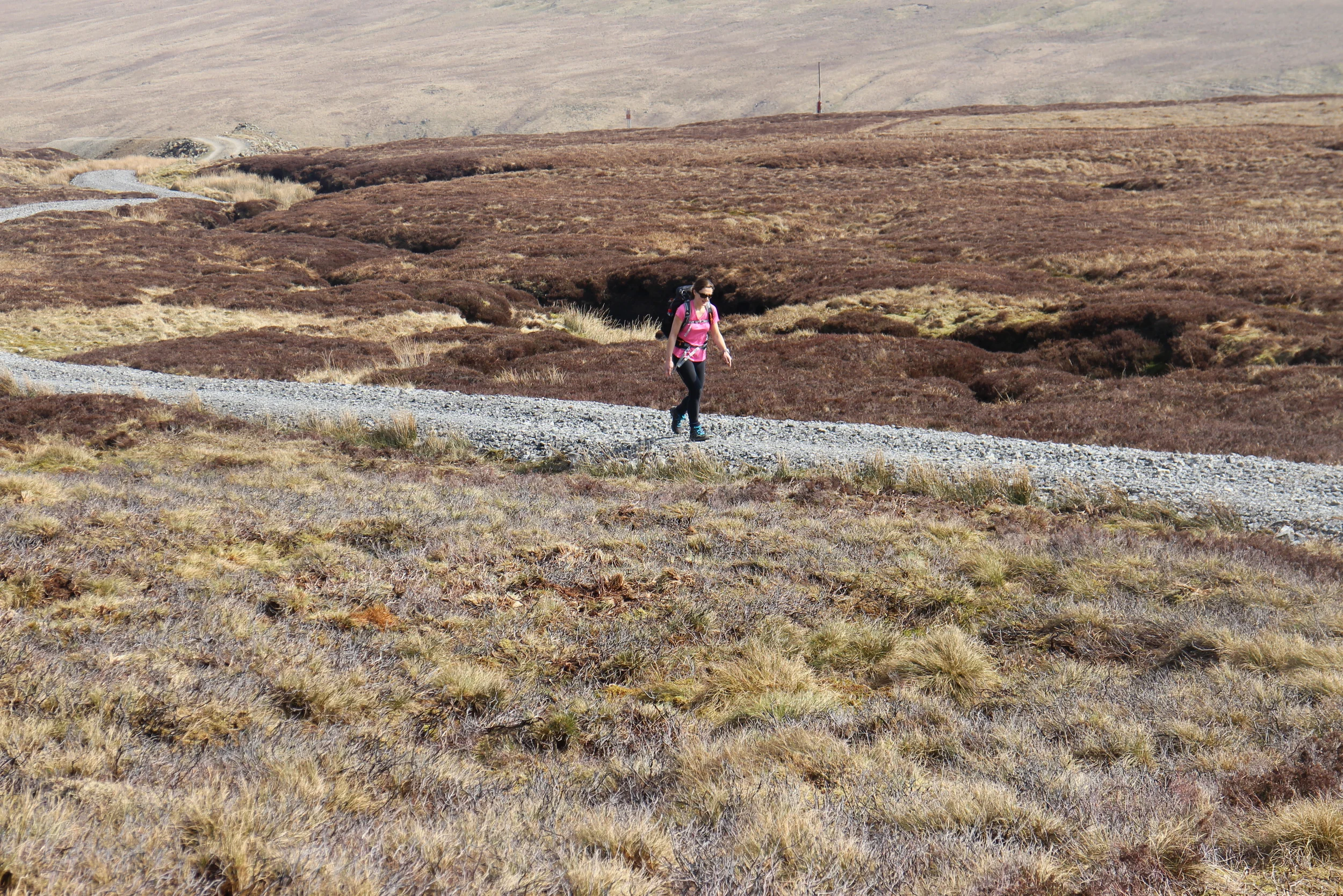  A winding road beside a firing range 