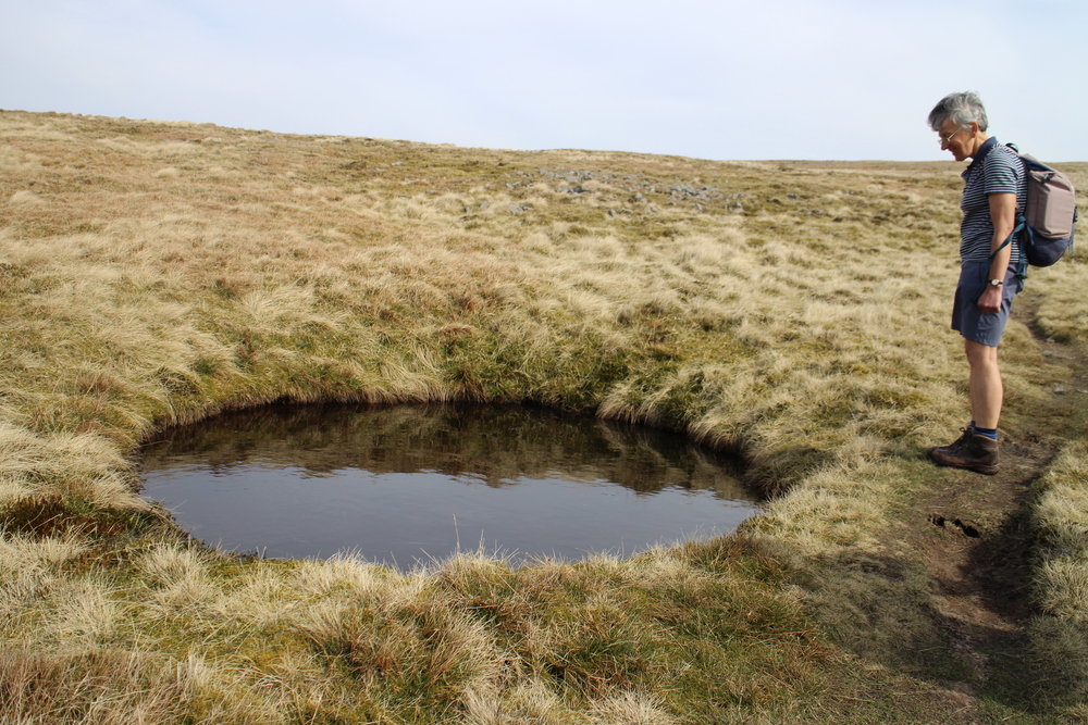  A water logged shake hole 