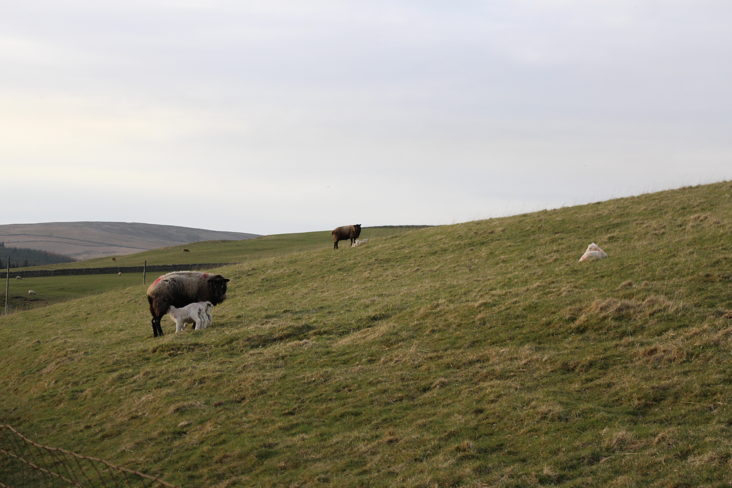  The Eden Valley 