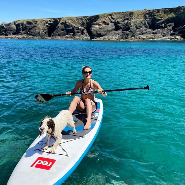 Paddle with the pooch 🐶 💦