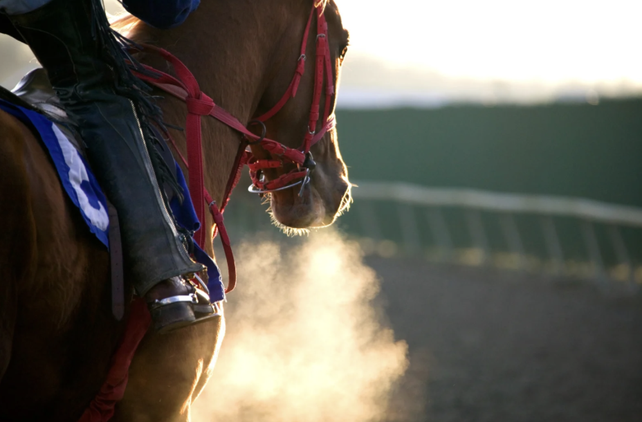 Derby Day: Signs and Strides | Language Group for 1-5 years