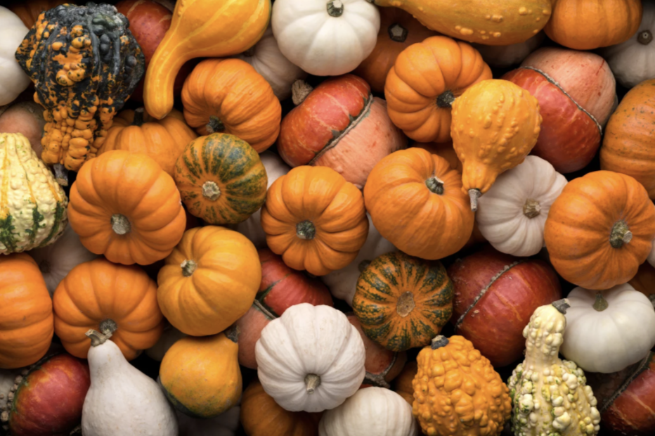 Pumpkin Pals | Language Group for Ages 2-5