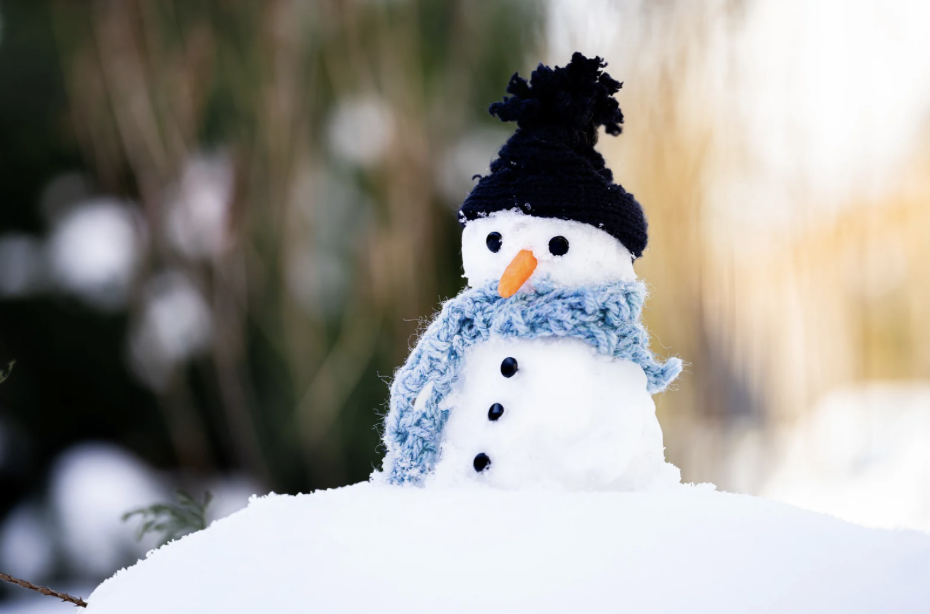 Snow Much Fun Signing | Language Group for Ages 1-5