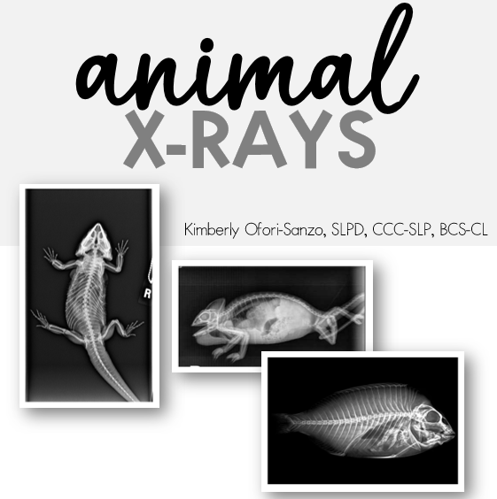 Animal Xrays.PNG