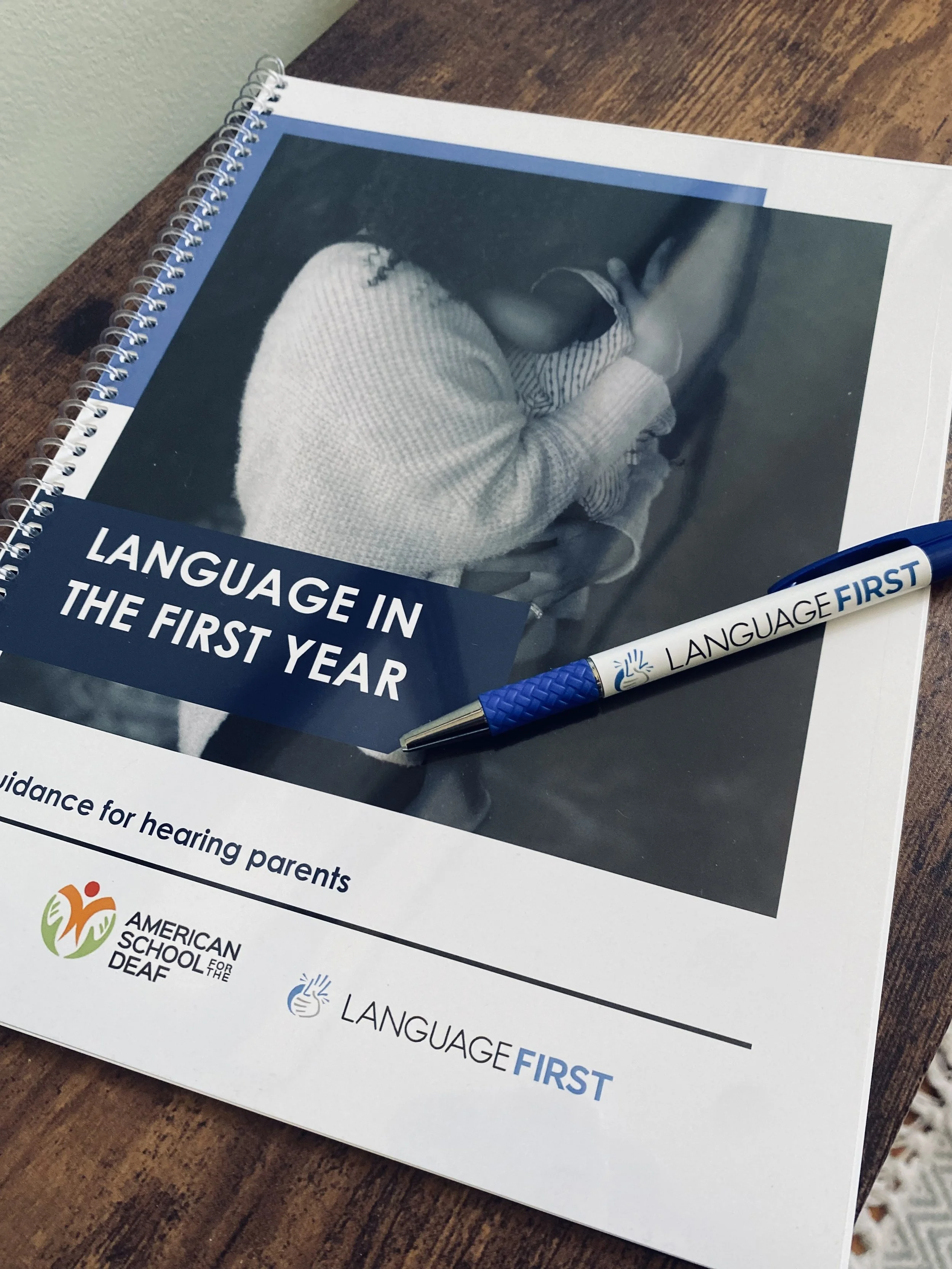 Professionals — Language First