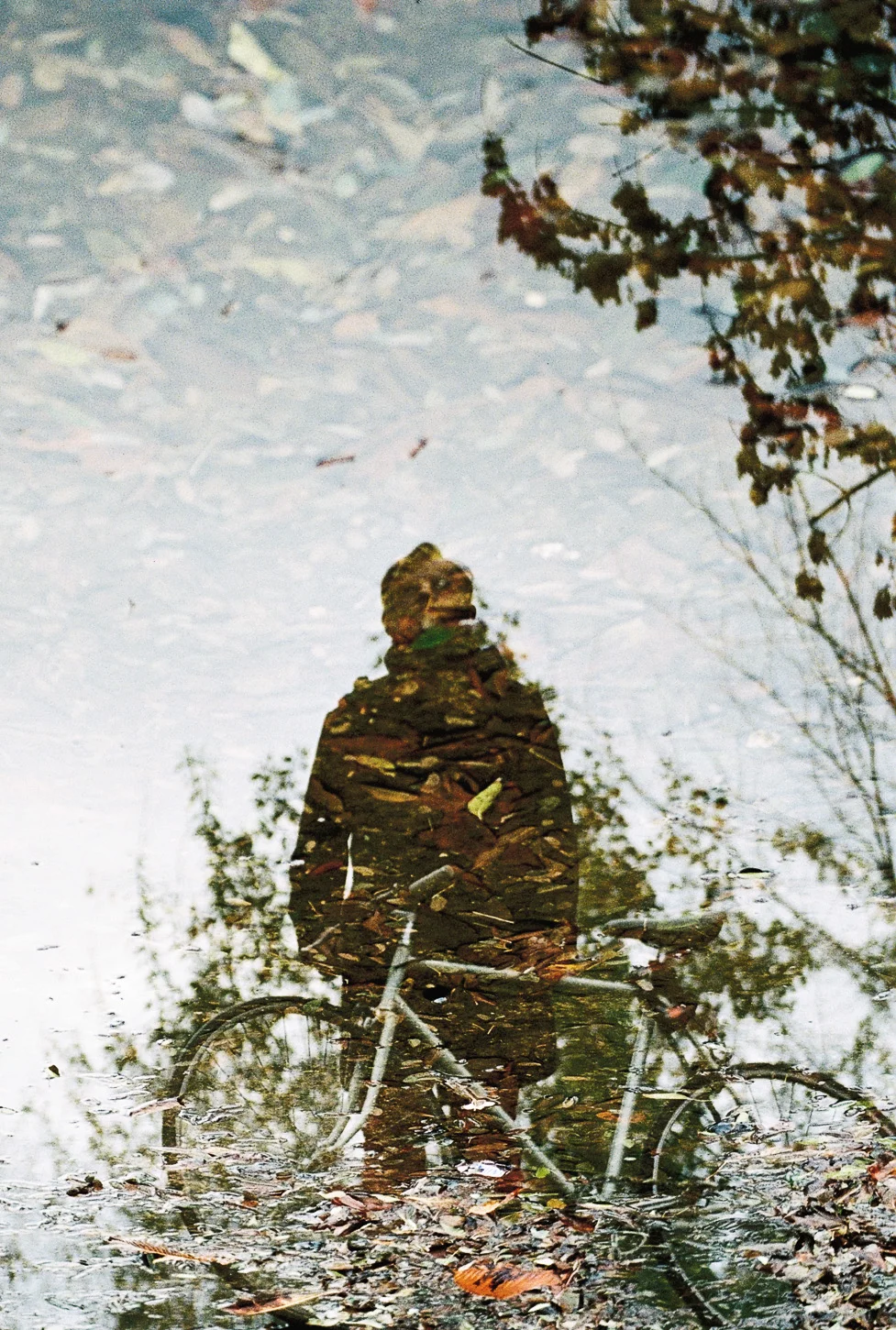 © Nils Hasenau