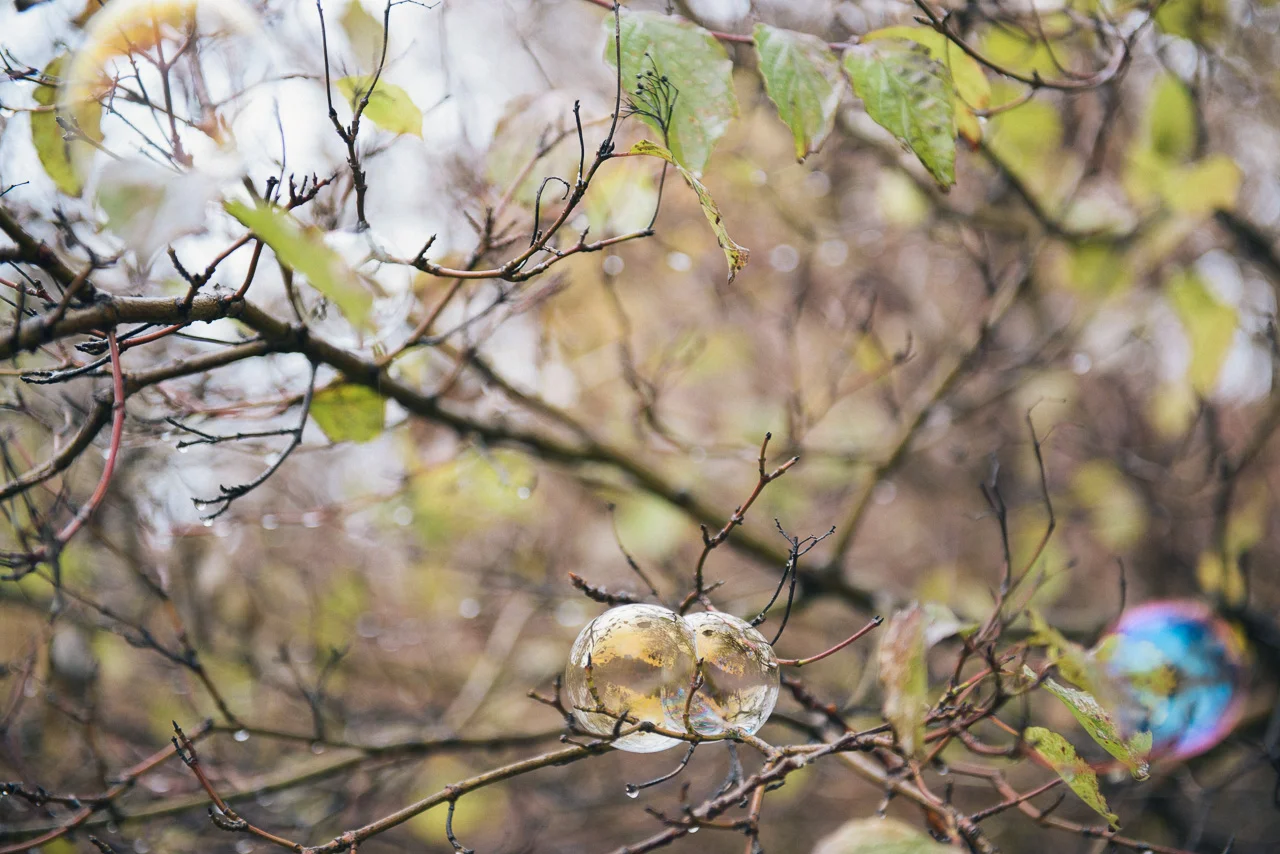 © Nils Hasenau