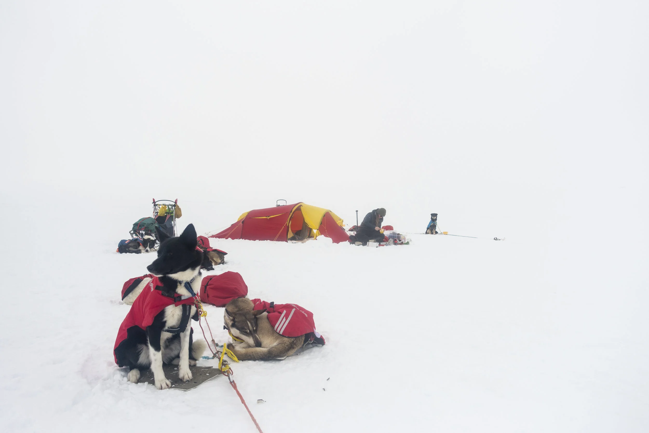 Marte_S_Jorgensen_ -5797.jpg