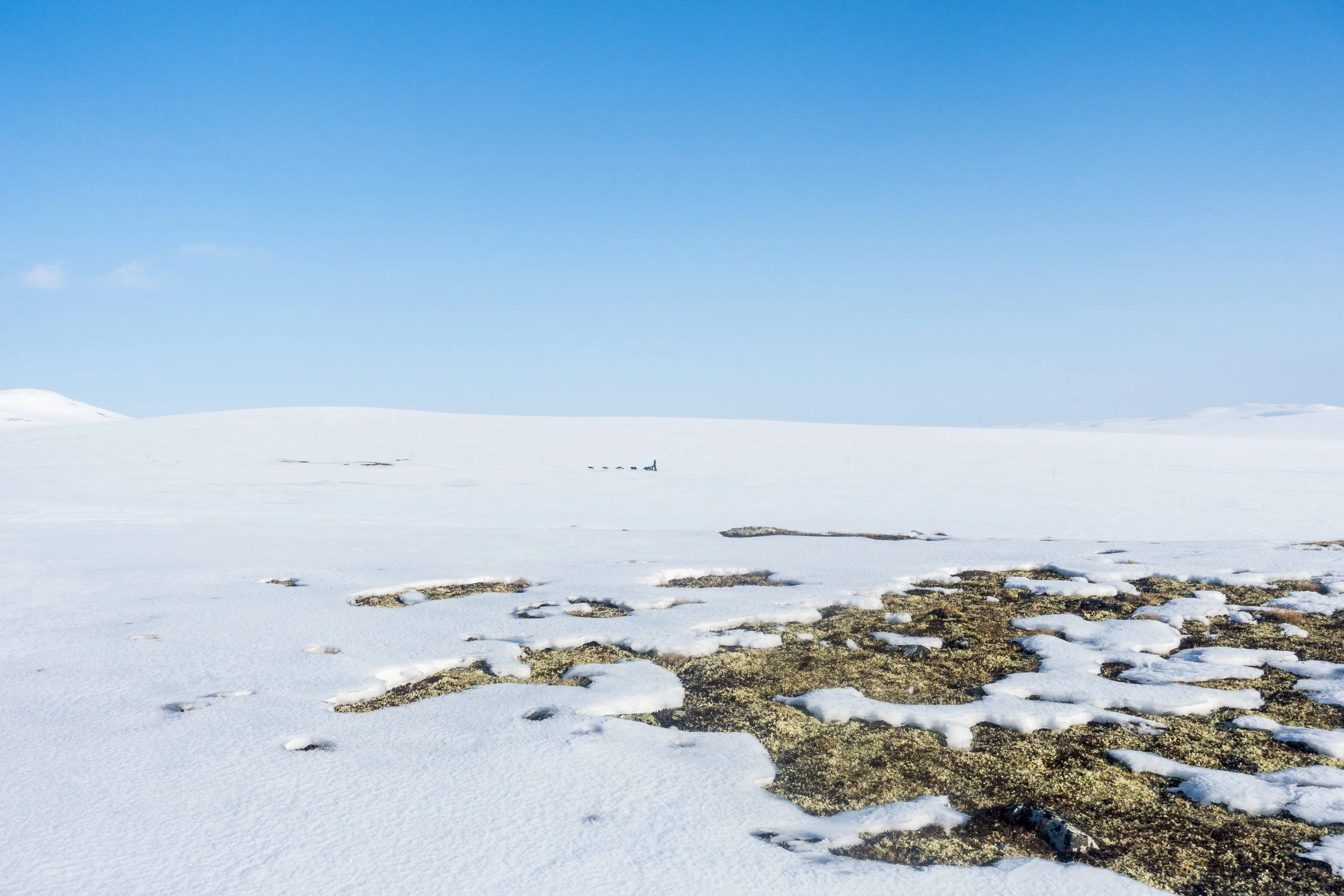 Marte_S_Jorgensen_ -6059.jpg