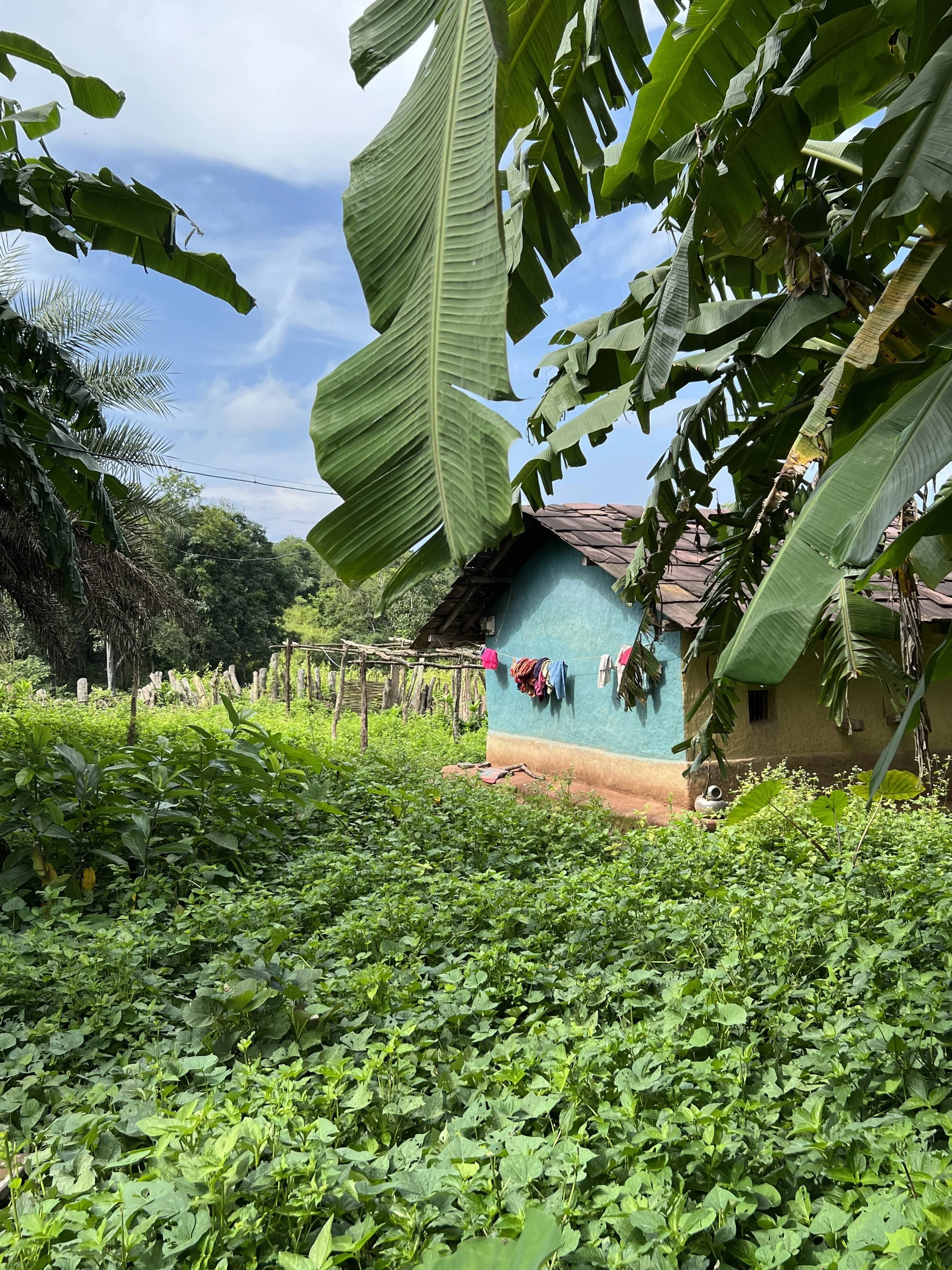 Blue House bastar with wasdhing.jpg