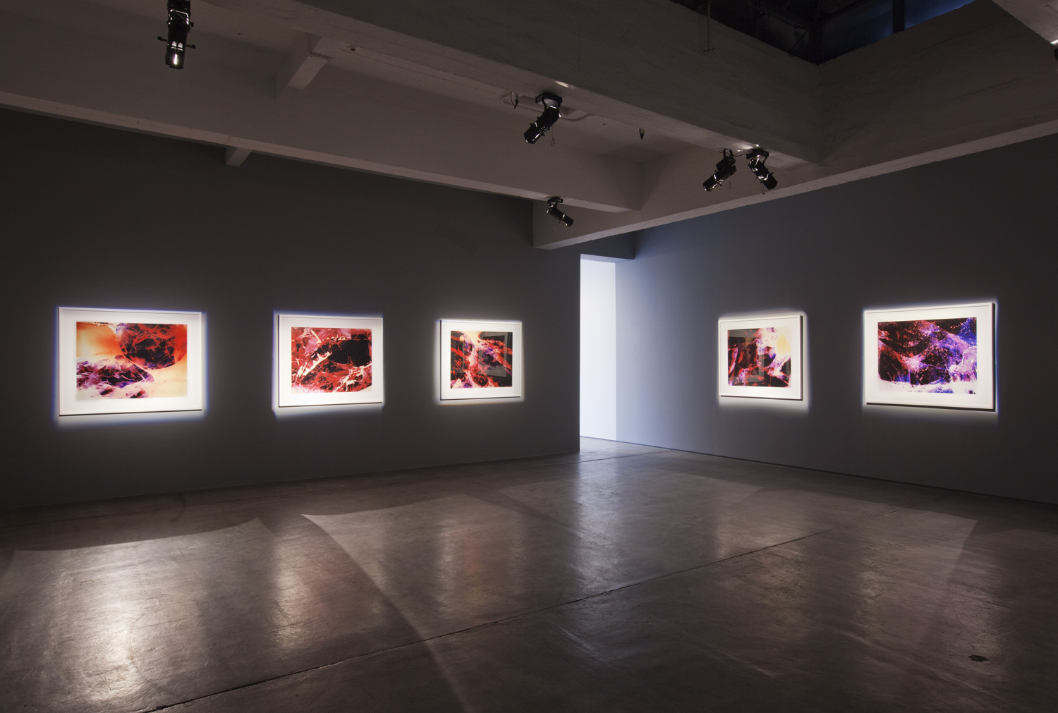  Redshift series,&nbsp;Carey Young,&nbsp;2010,&nbsp;Installation view at Paula Cooper Gallery, New York 