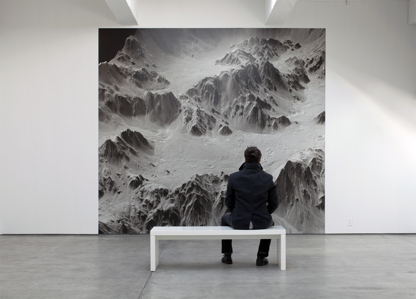 Contracting Universe - Carey Young.jpg