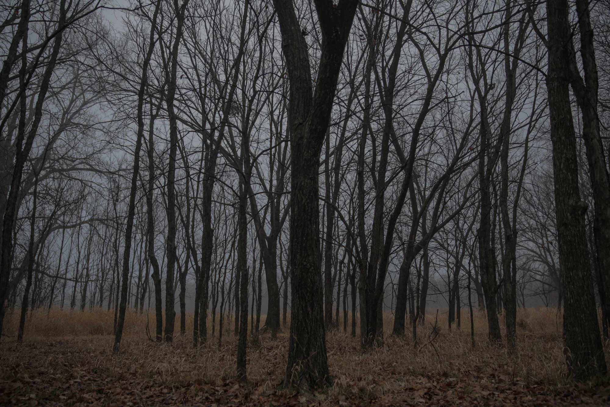 ThePark-4.jpg