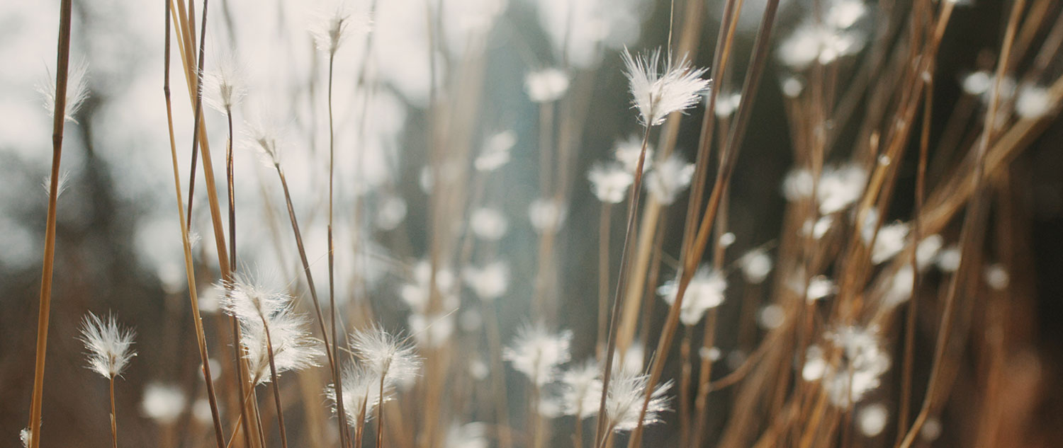 vsco02.jpg