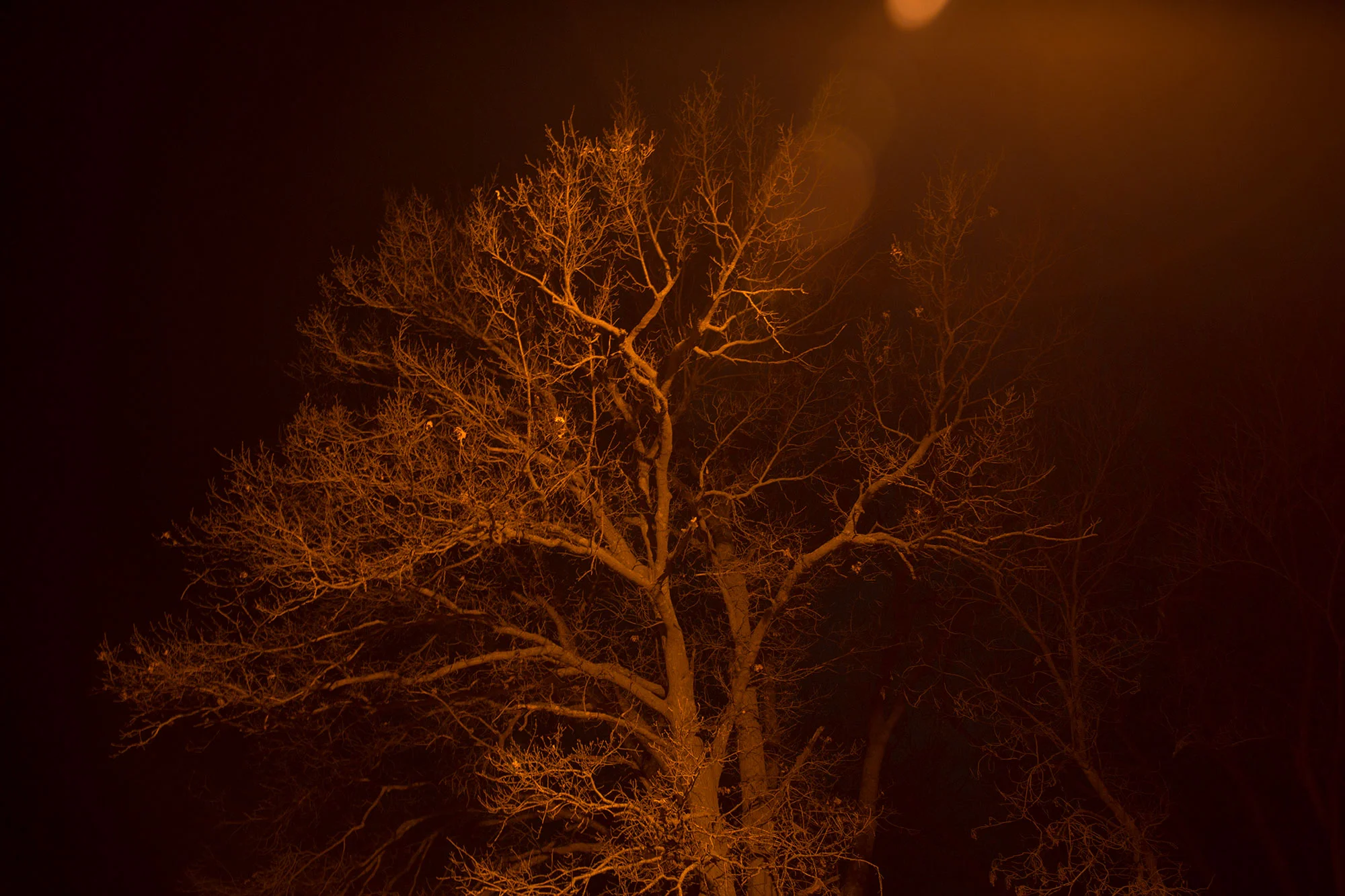 TH_A6570web.jpg