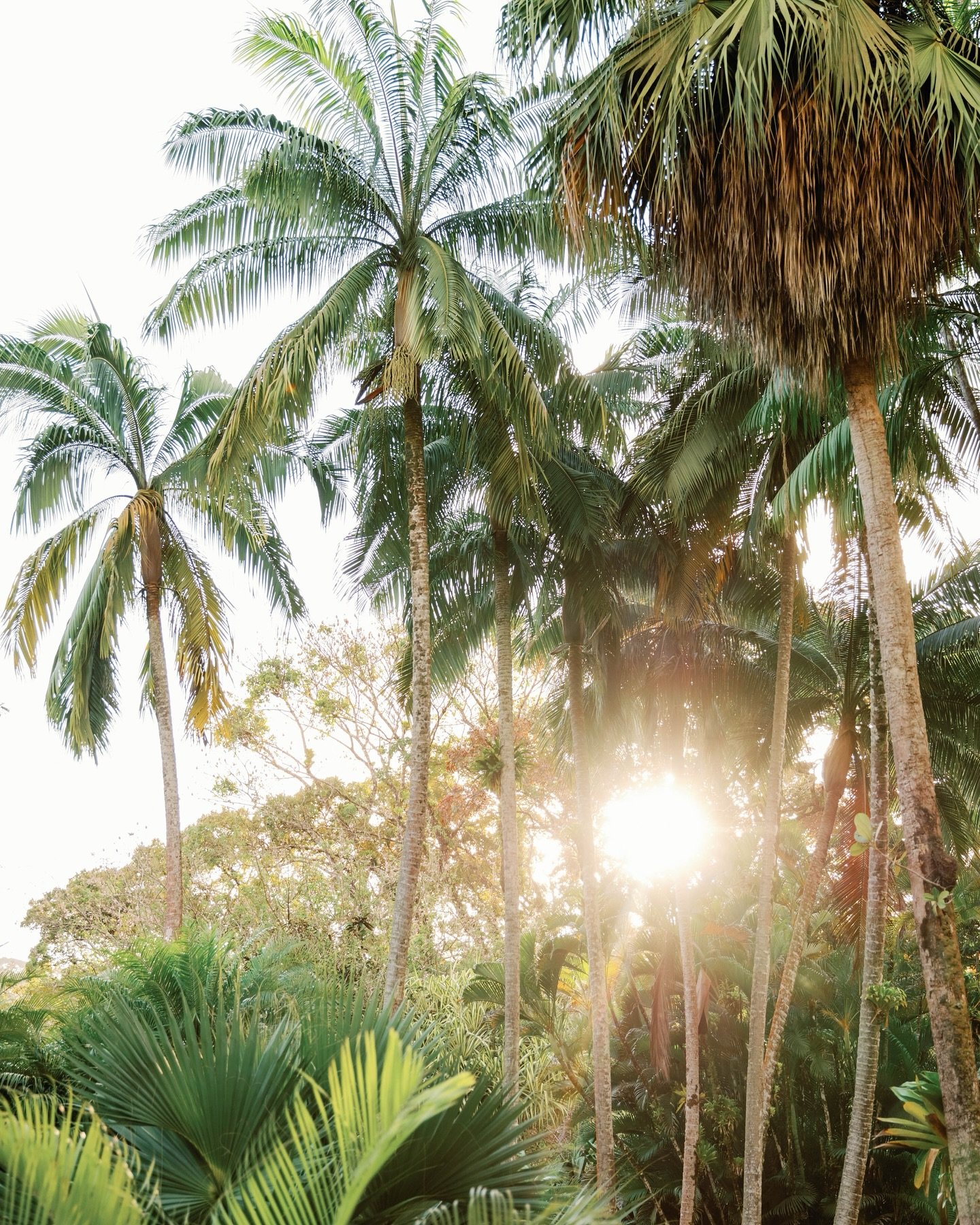 Zand, zon, zee &amp; zoveel mooie momenten. 🌴