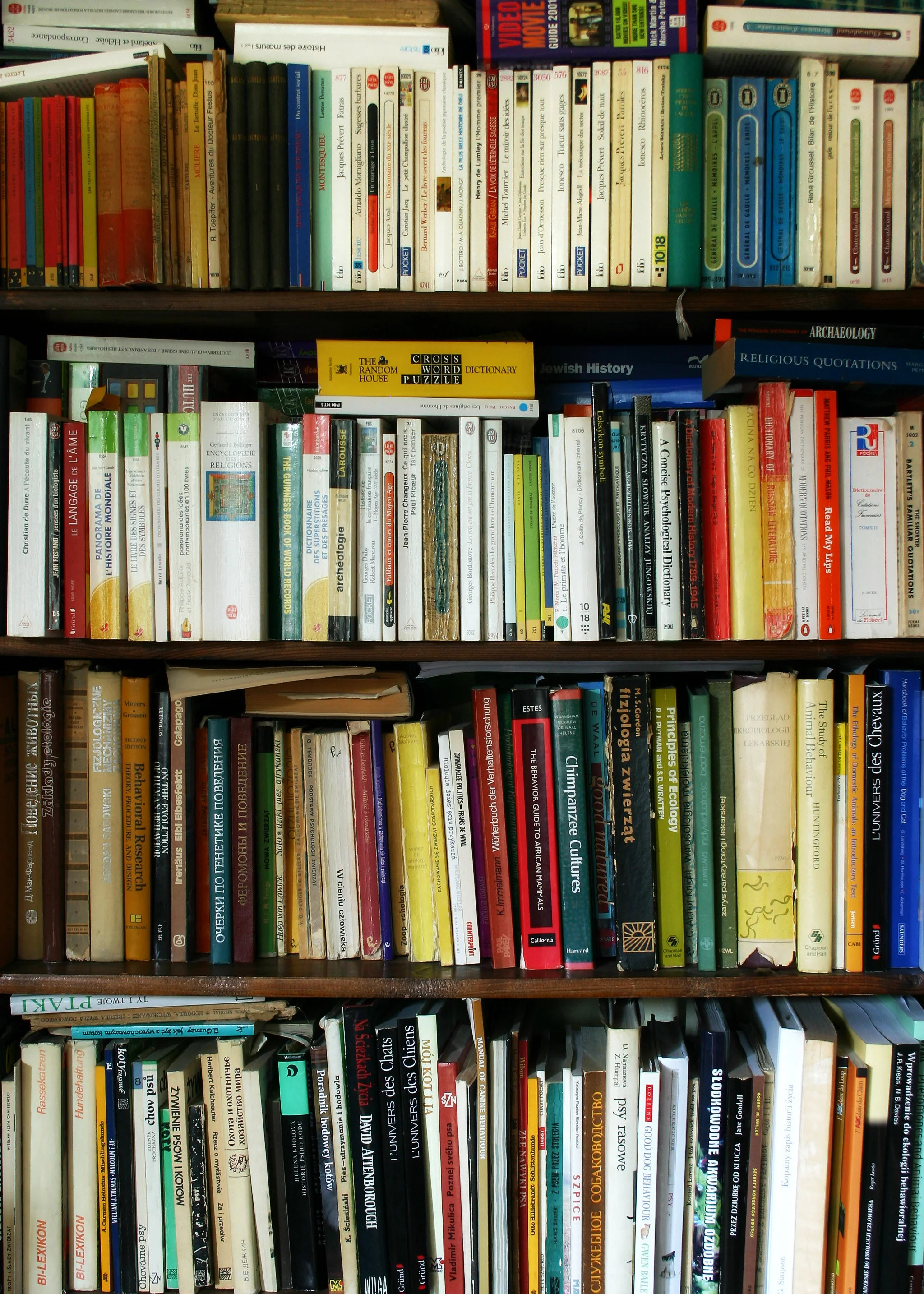 Library Shelf RGB.jpg