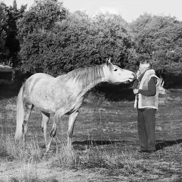 aniam_hors_1.jpg