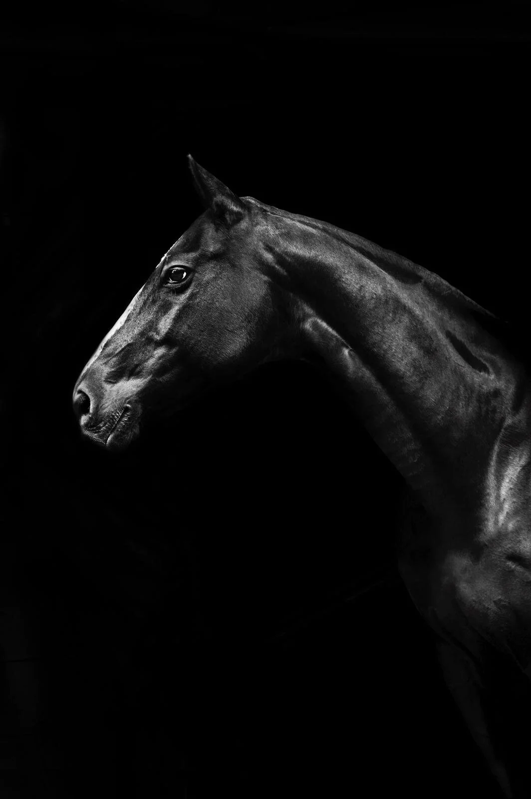 WhatsApp Image 2020-09-22 at 02.26.45.jpeg